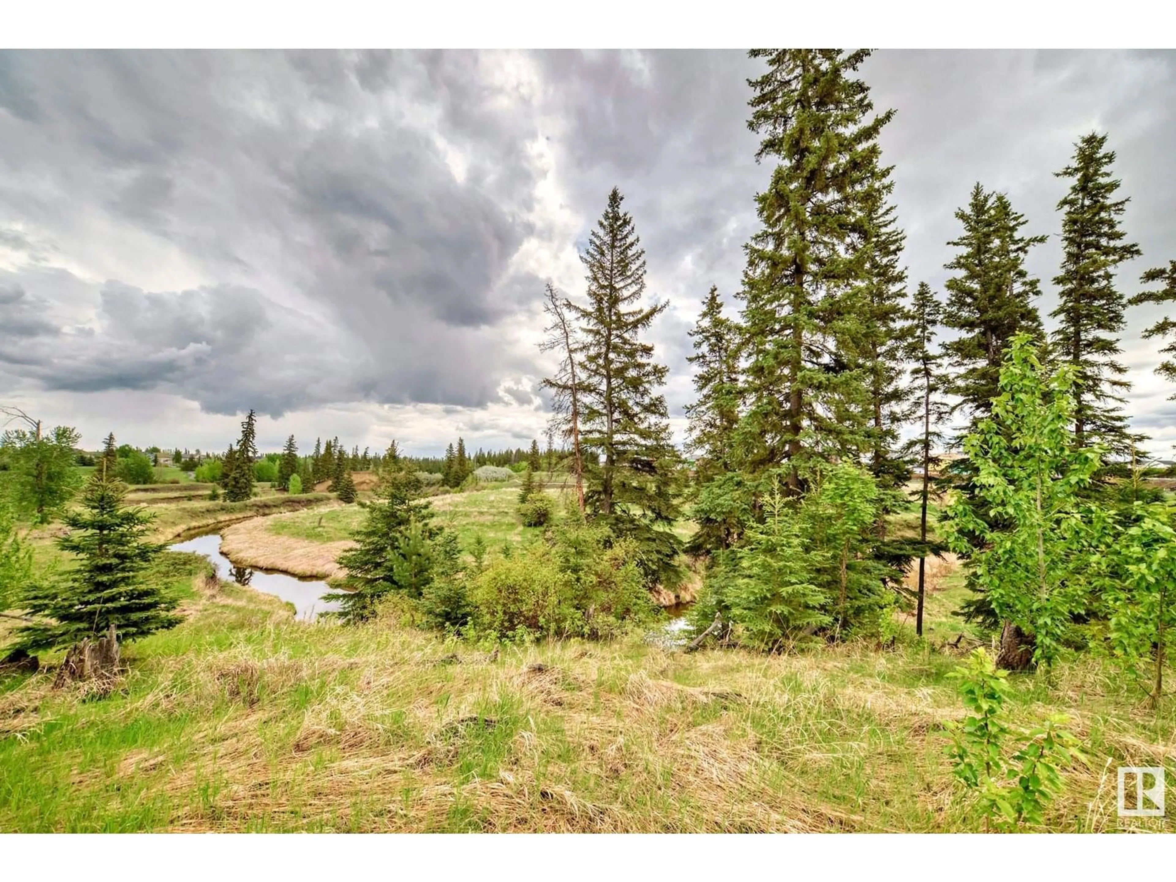 A pic from outside/outdoor area/front of a property/back of a property/a pic from drone, forest/trees view for 1673 JAMES MOWATT TR, Edmonton Alberta T6W0J7
