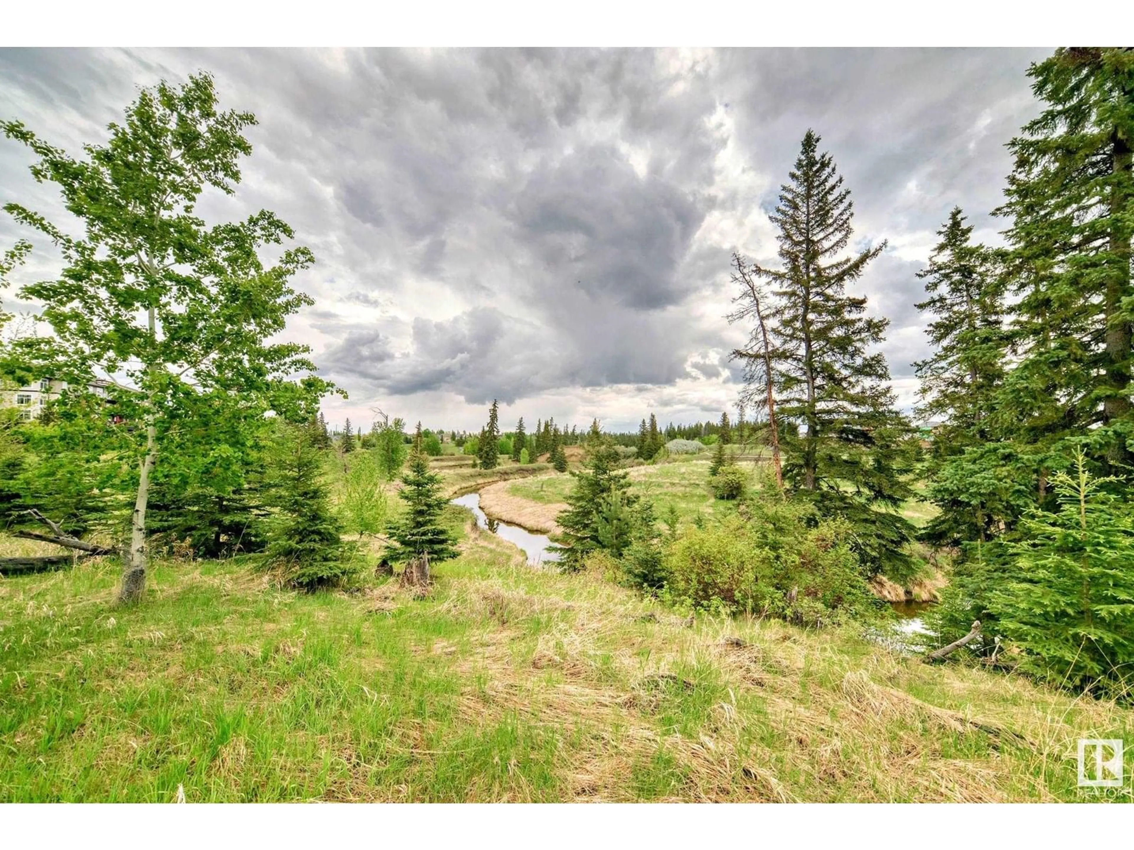 A pic from outside/outdoor area/front of a property/back of a property/a pic from drone, forest/trees view for 1673 JAMES MOWATT TR, Edmonton Alberta T6W0J7