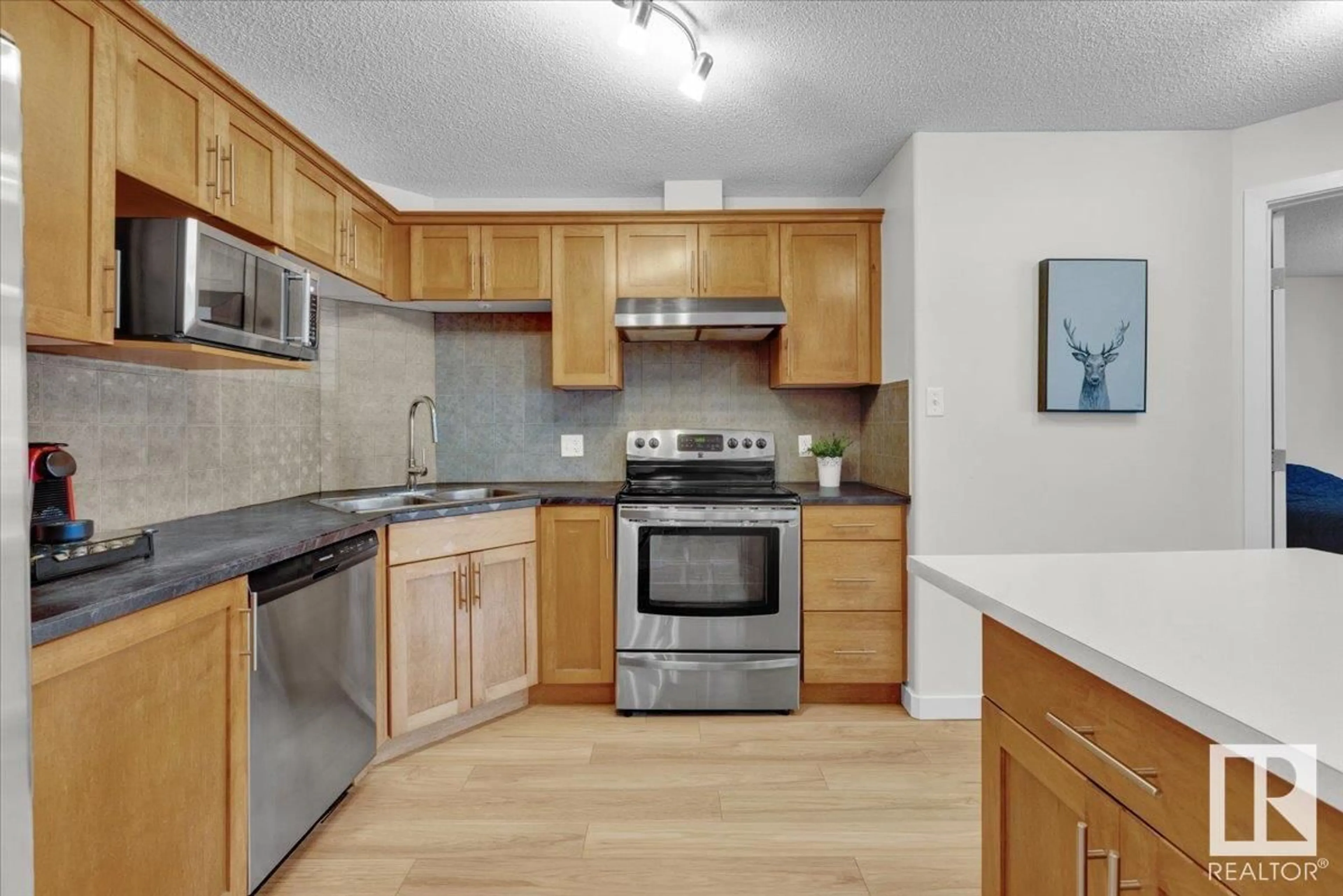 Standard kitchen, unknown for 5102 - 7335 SOUTH TERWILLEGAR DR, Edmonton Alberta T6R0M1