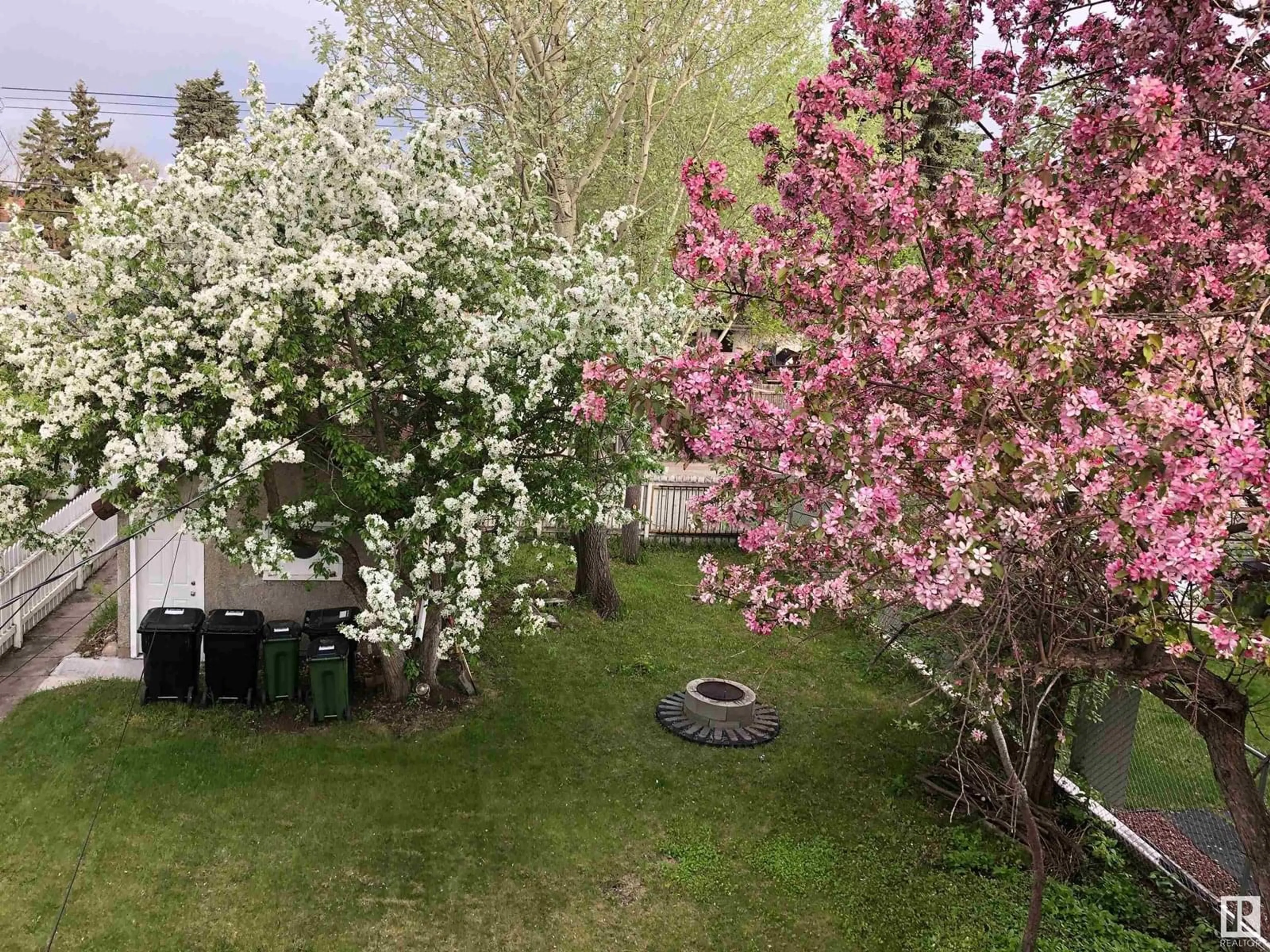 A pic from outside/outdoor area/front of a property/back of a property/a pic from drone, forest/trees view for NW - 11522 101 ST, Edmonton Alberta T5G0E9