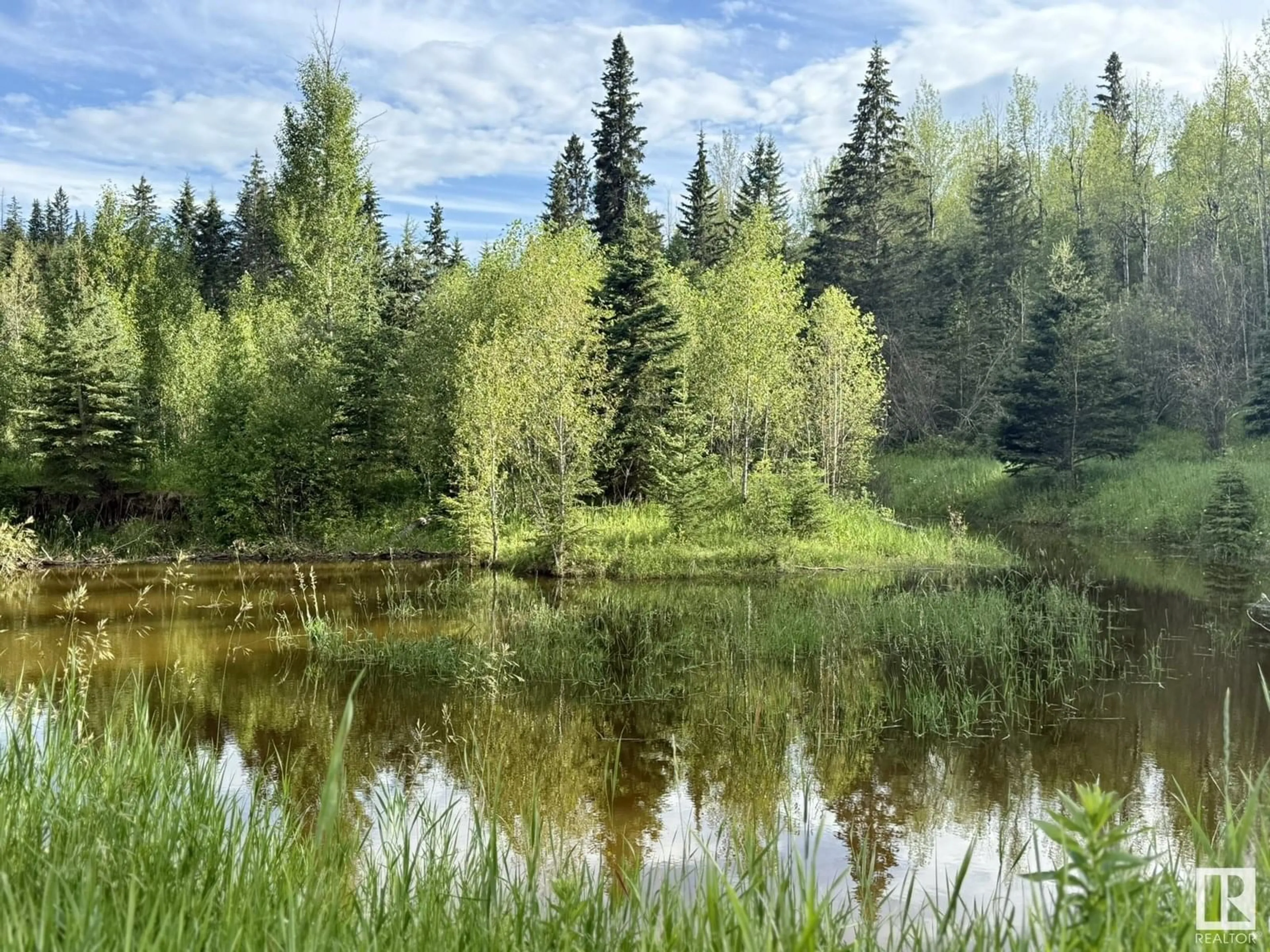 Blurry image for 464025 RGE RD 31, Rural Wetaskiwin County Alberta T0C2X0