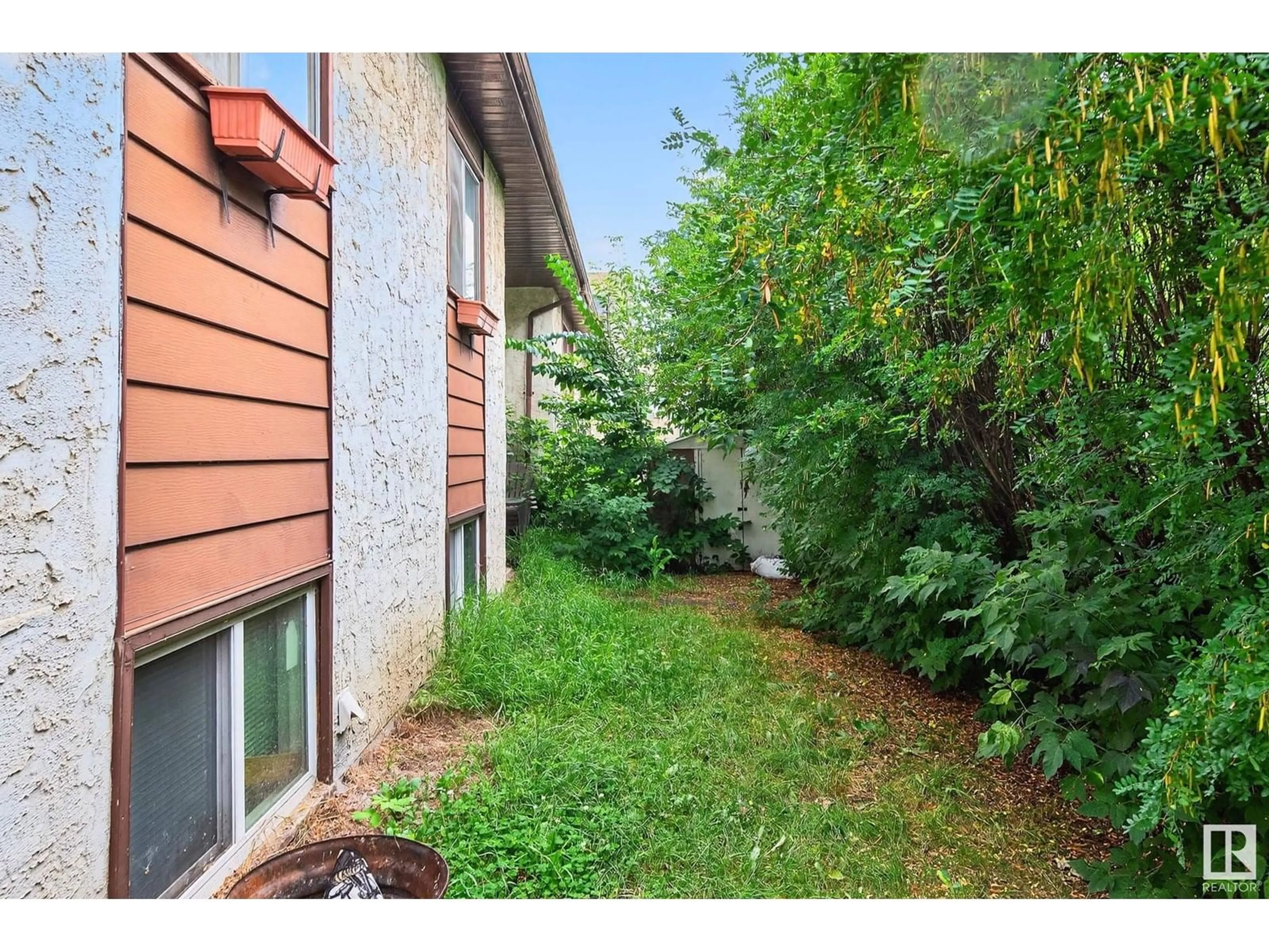 Patio, street for NW - 11205 125 ST, Edmonton Alberta T5M0M6