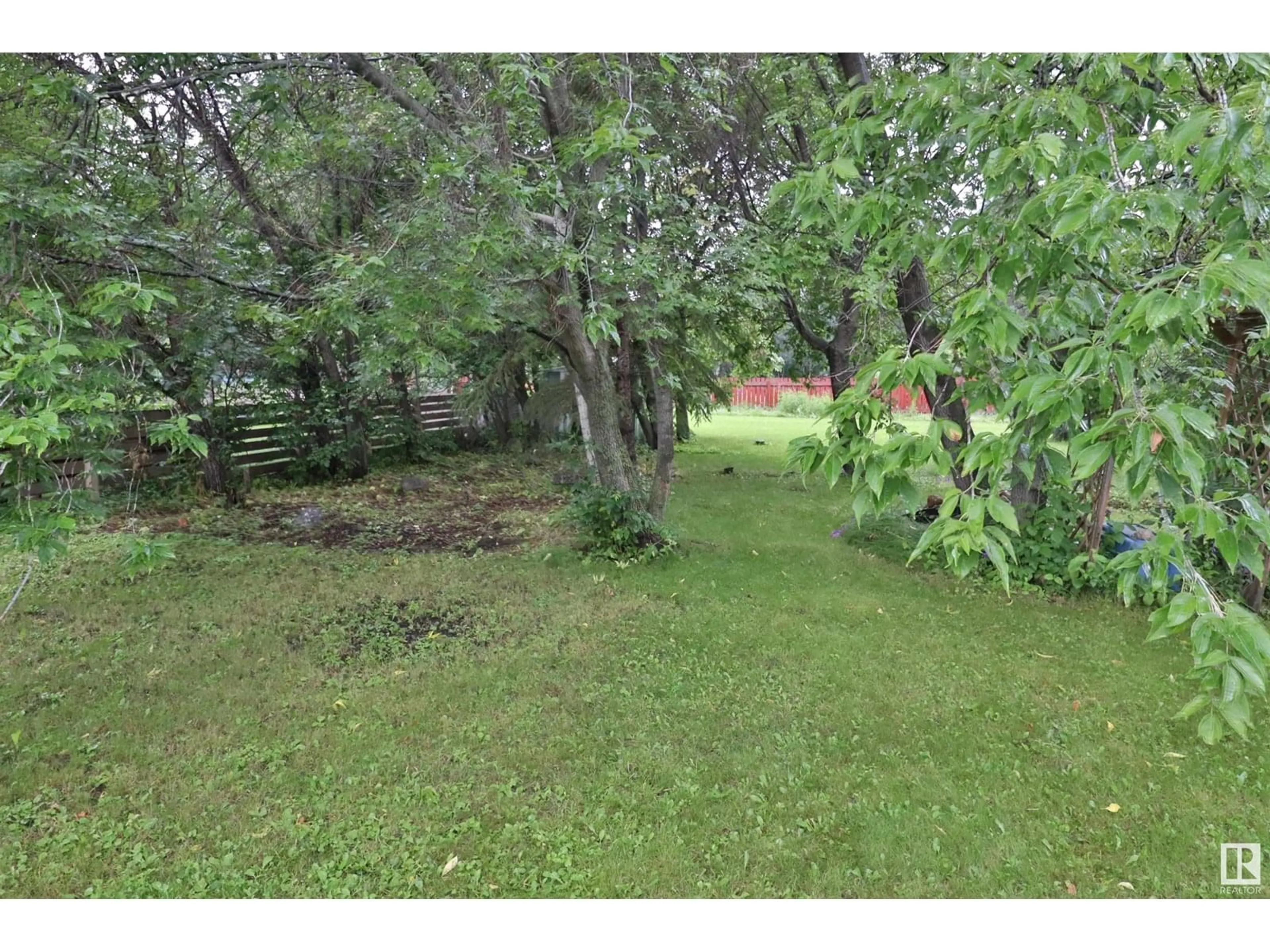 A pic from outside/outdoor area/front of a property/back of a property/a pic from drone, forest/trees view for 4708 51 ST, Thorsby Alberta T0C2P0