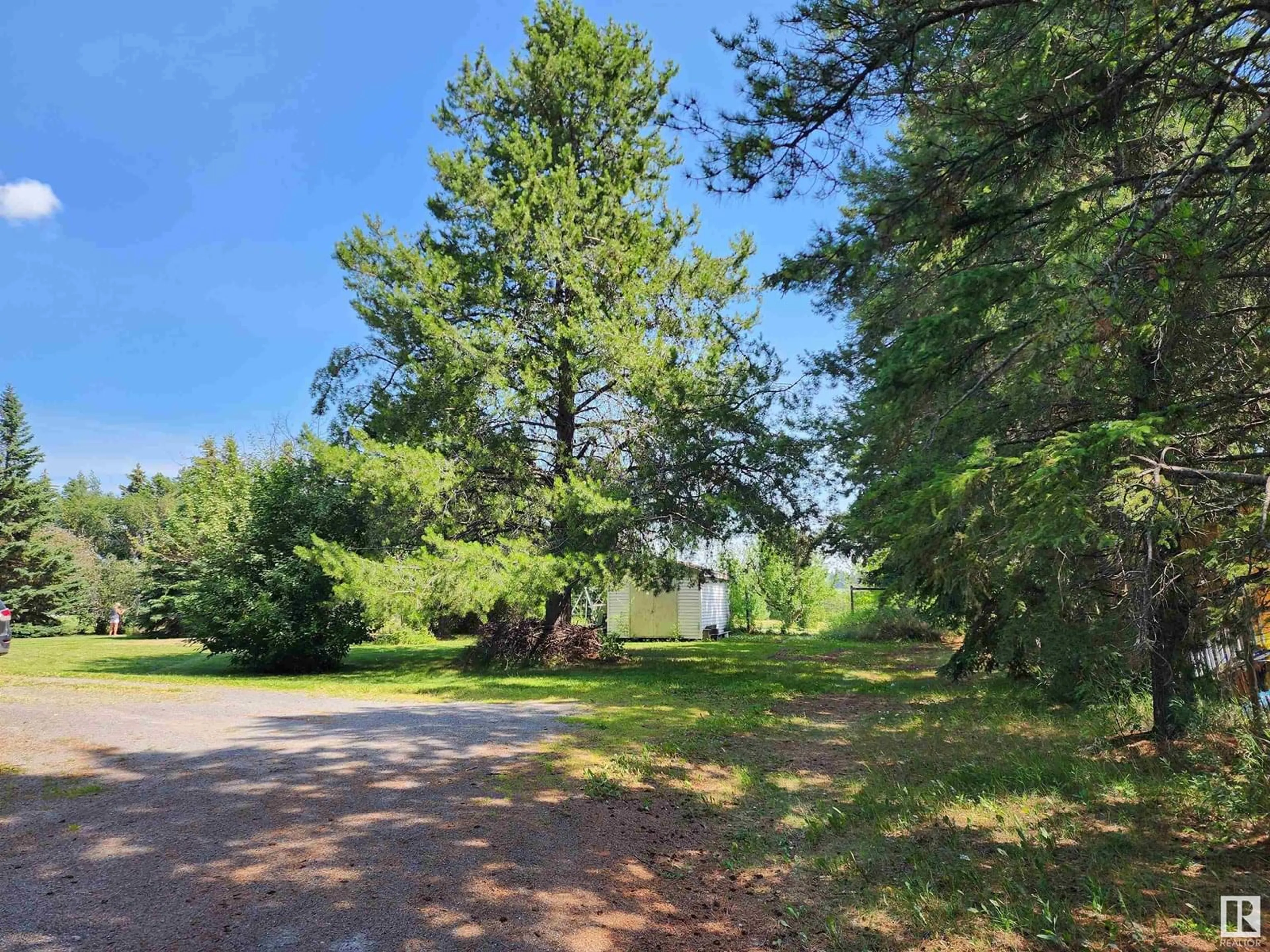 A pic from outside/outdoor area/front of a property/back of a property/a pic from drone, forest/trees view for 5409 50 ST, Thorsby Alberta T0C2P0