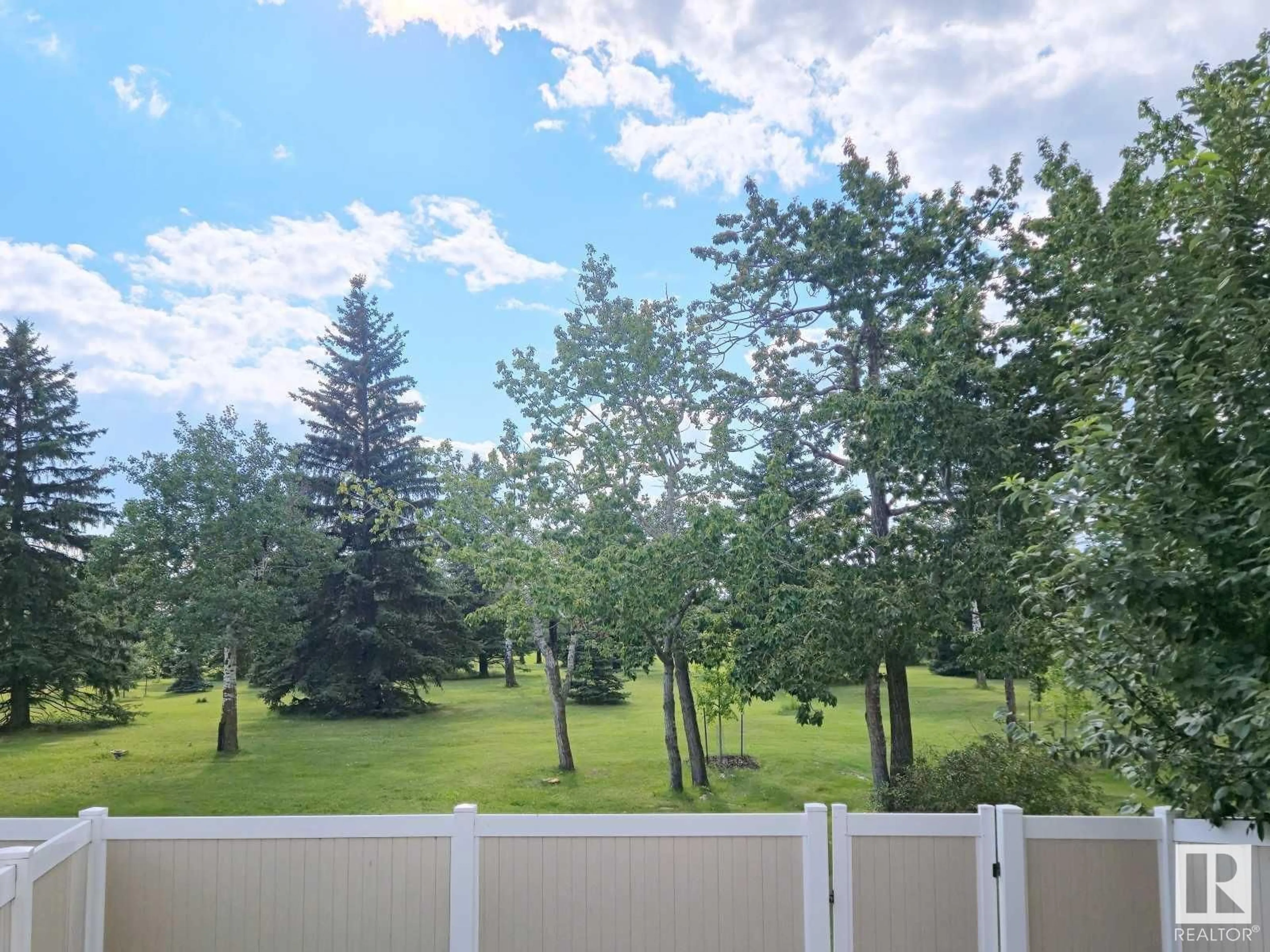 A pic from outside/outdoor area/front of a property/back of a property/a pic from drone, forest/trees view for NW - 14458 56 ST, Edmonton Alberta T5A3R1