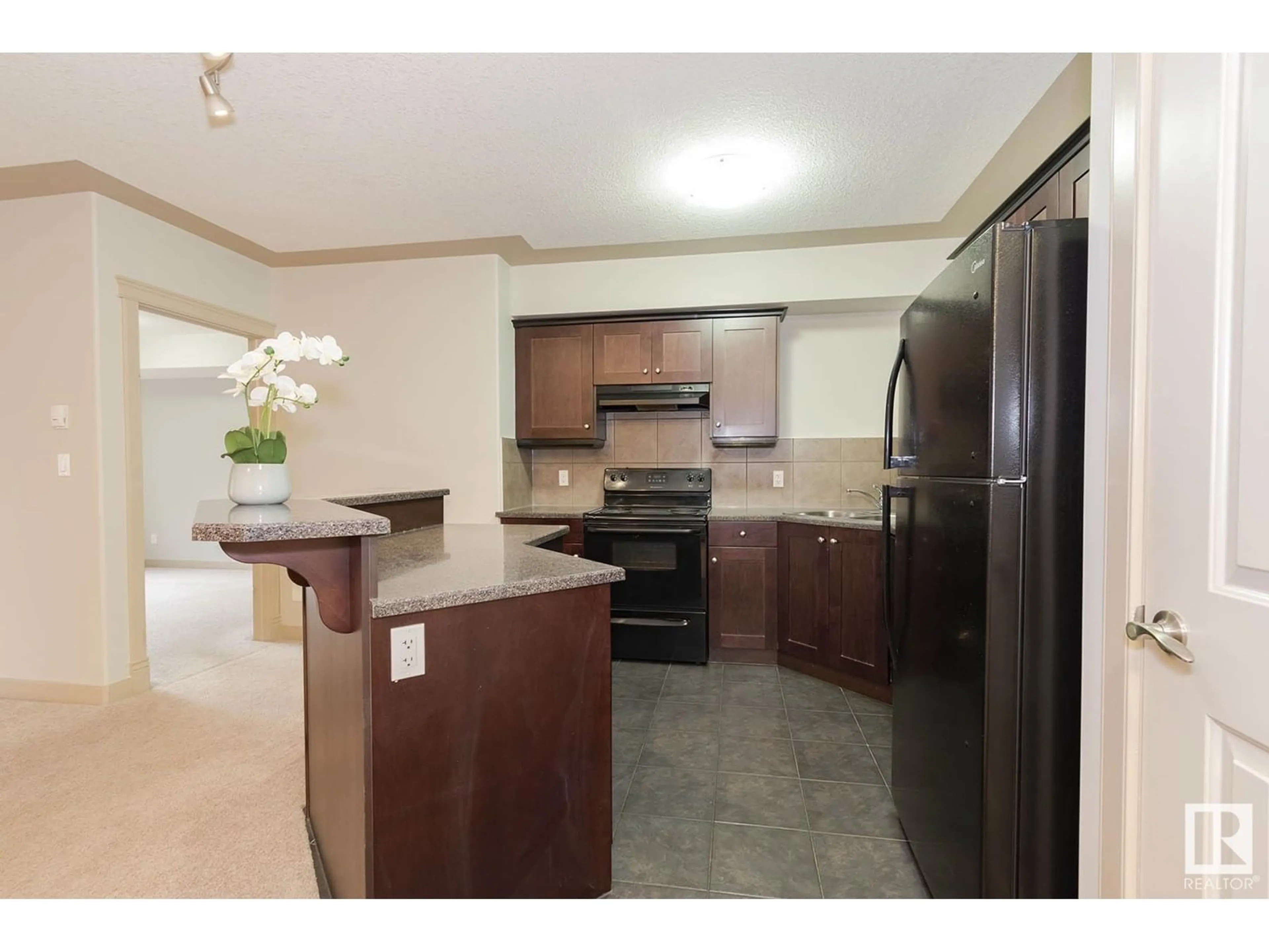 Open concept kitchen, unknown for 205 - 4415 48 ST, Leduc Alberta T9E5Y3