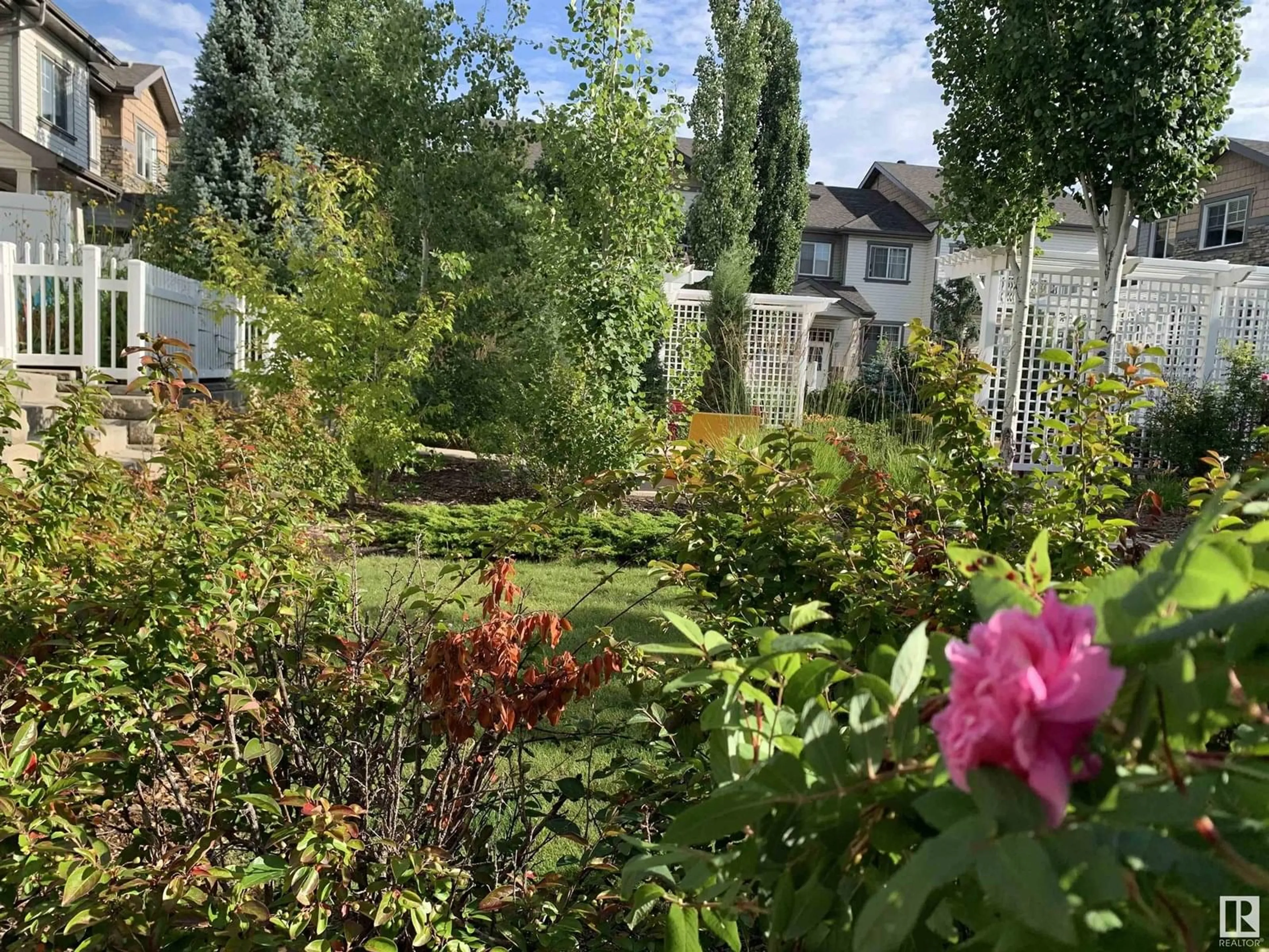 A pic from outside/outdoor area/front of a property/back of a property/a pic from drone, street for 4850 - 20 TERWILLEGAR COMMON NW, Edmonton Alberta T6R0T6