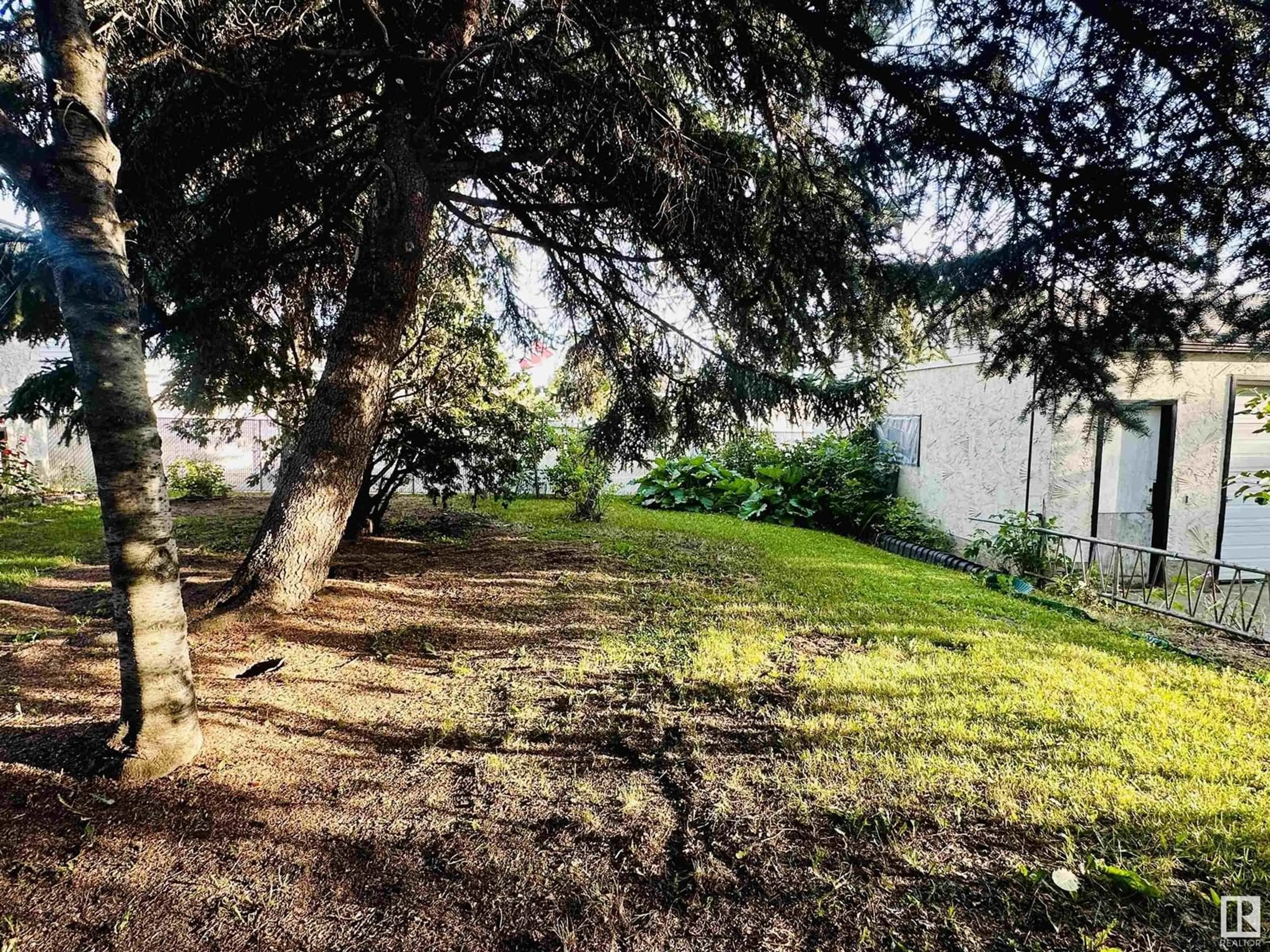 A pic from outside/outdoor area/front of a property/back of a property/a pic from drone, forest/trees view for 13028 133 ST NW, Edmonton Alberta T5L1T1