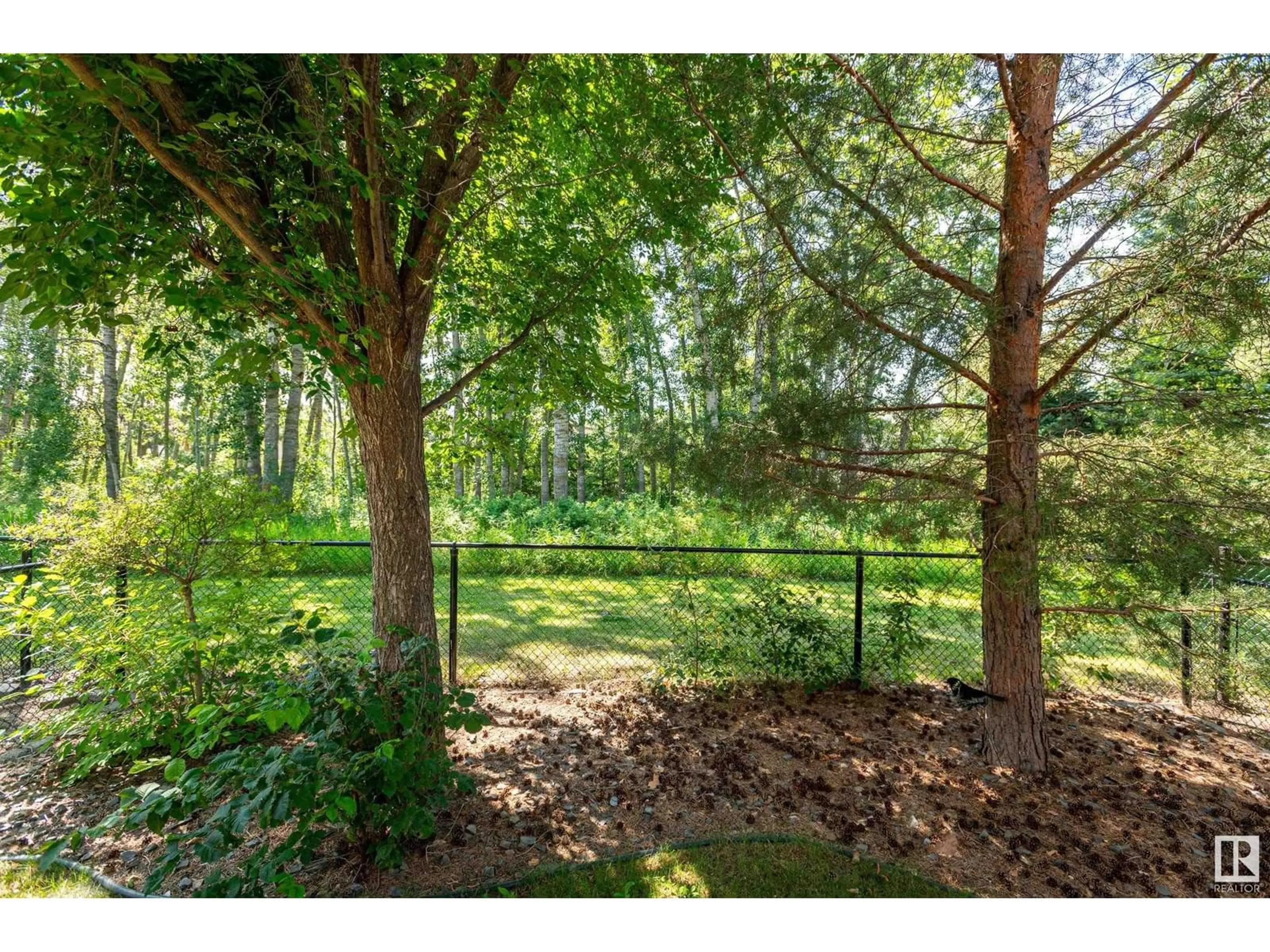 Patio, forest/trees view for 14 - 133 EASTGATE WY, St. Albert Alberta T8N7M9