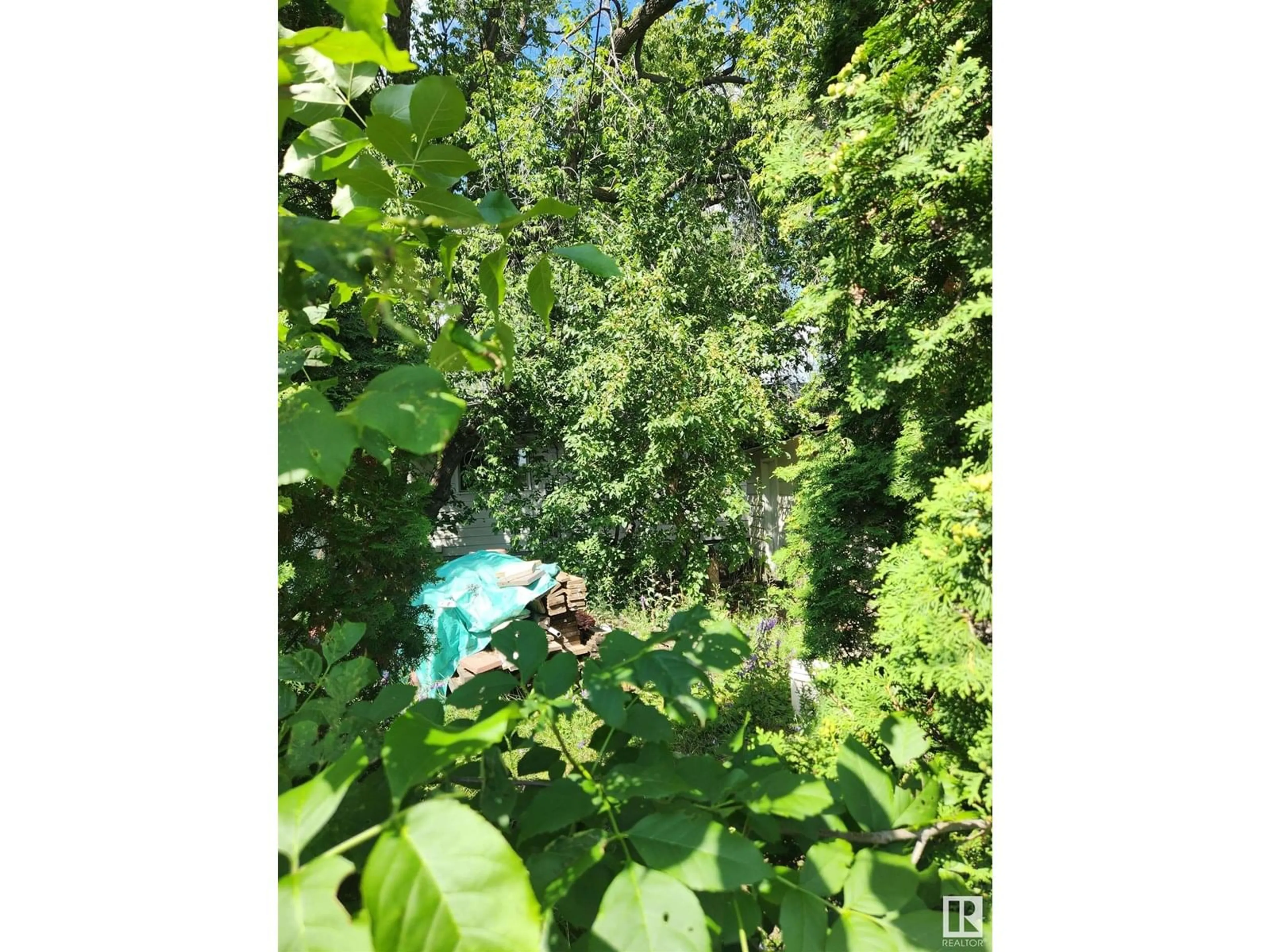A pic from outside/outdoor area/front of a property/back of a property/a pic from drone, forest/trees view for 16203 88 AV, Edmonton Alberta T5R4M5