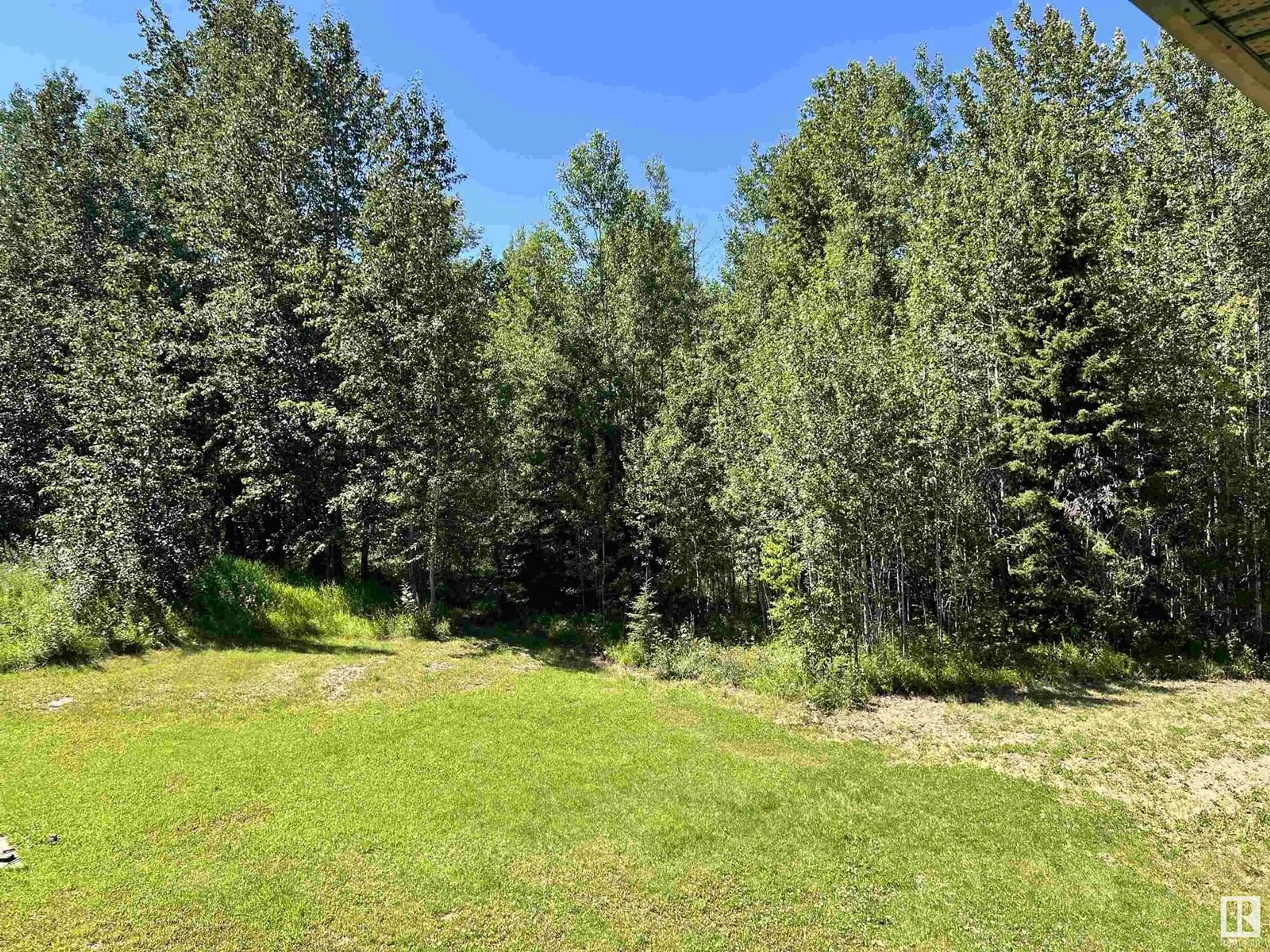 A pic from outside/outdoor area/front of a property/back of a property/a pic from drone, forest/trees view for 8409 TWP RD 493, Rural Brazeau County Alberta T7A1R4