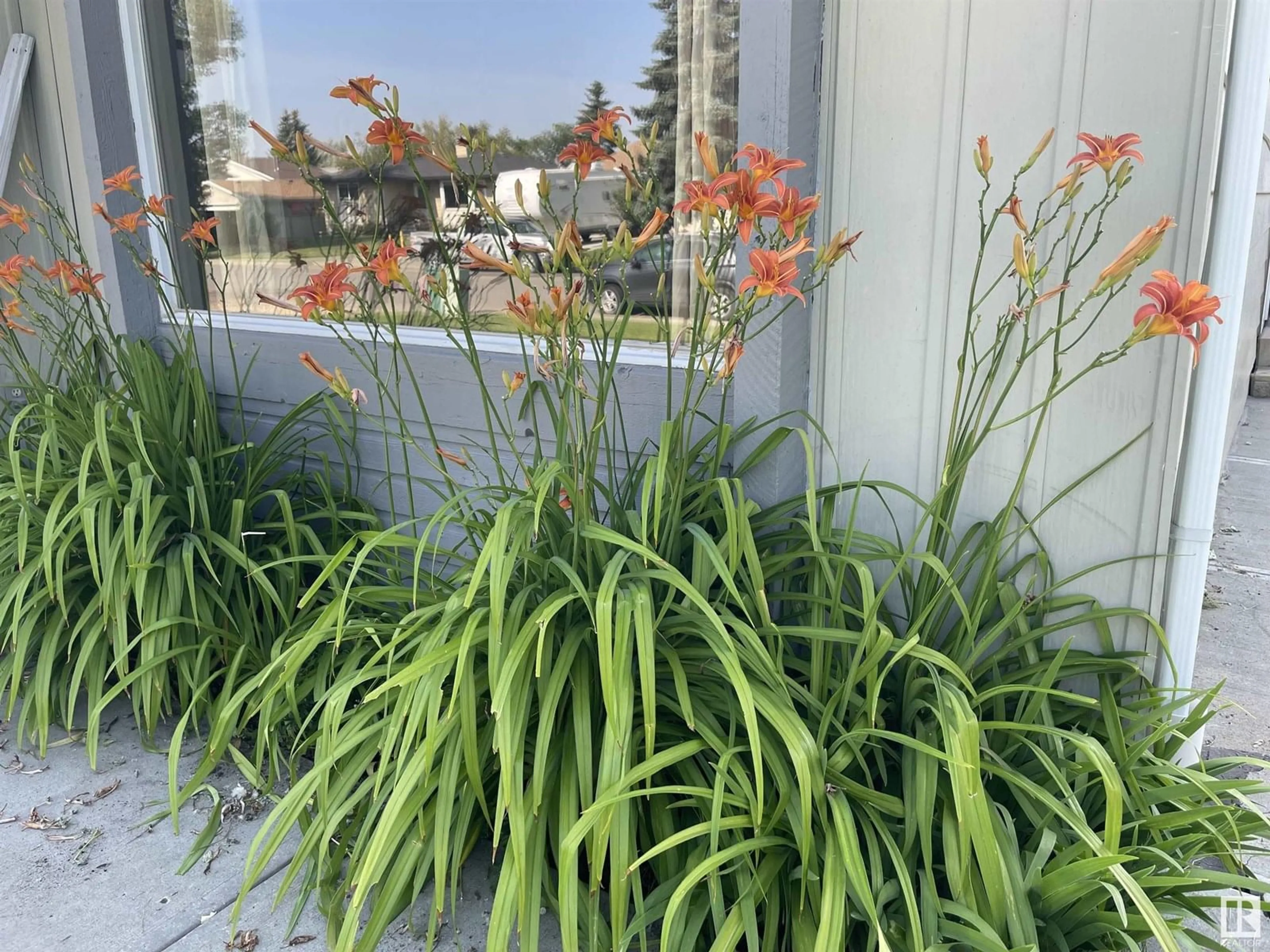 Balcony in the apartment, street for 4315 SOUTH PARK DR, Leduc Alberta T6E4V4