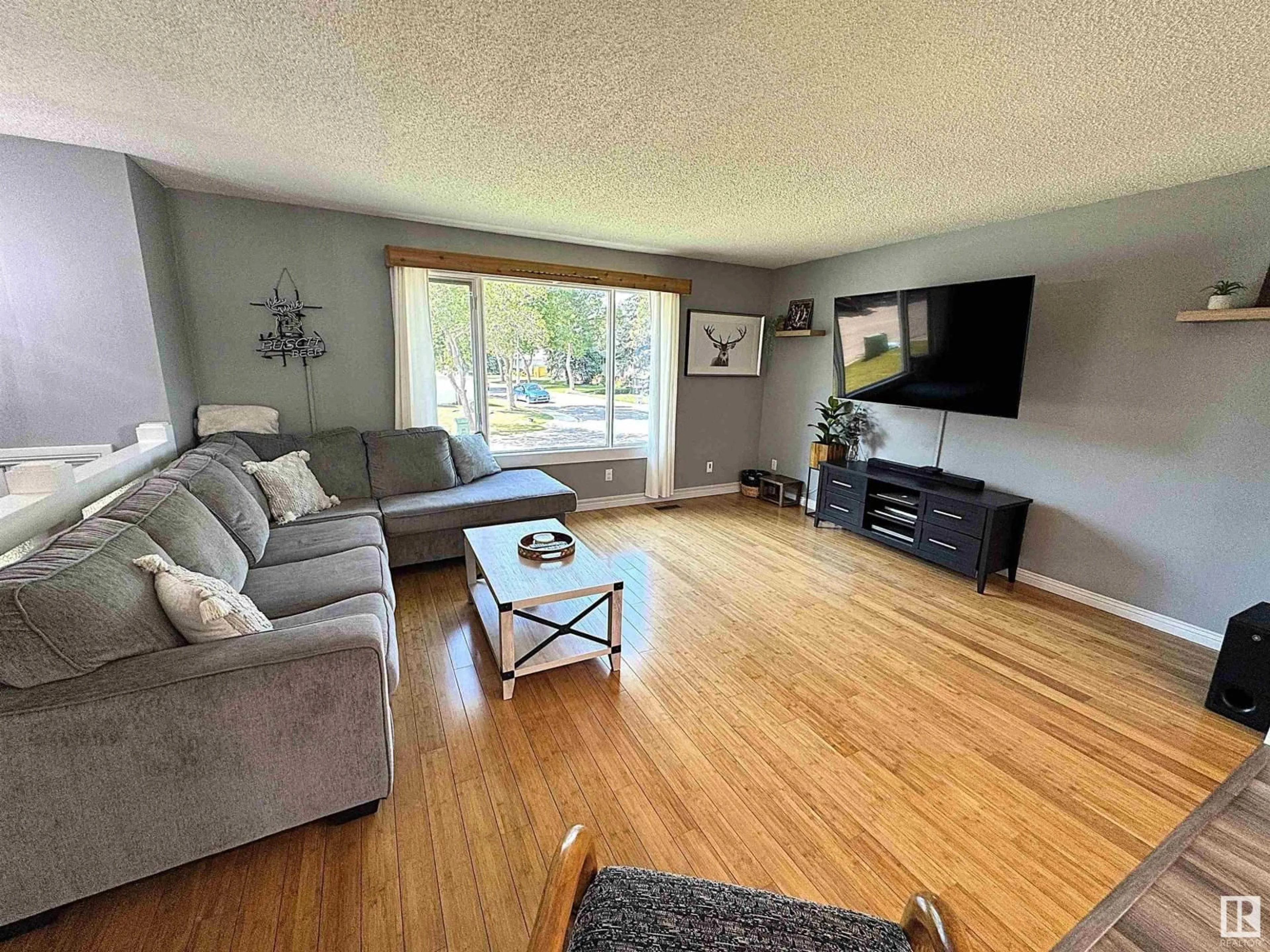 Living room with furniture, wood/laminate floor for 30 LORRAINE CR, St. Albert Alberta T8N2R3