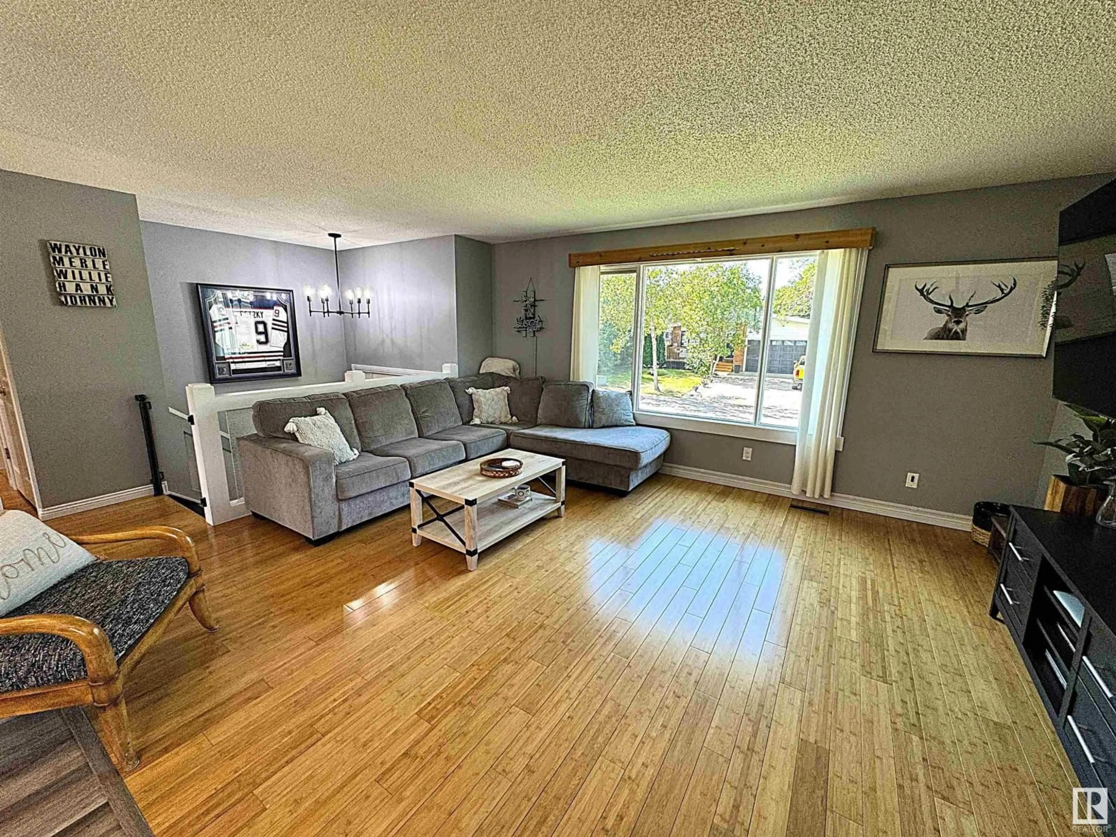 Living room with furniture, wood/laminate floor for 30 LORRAINE CR, St. Albert Alberta T8N2R3