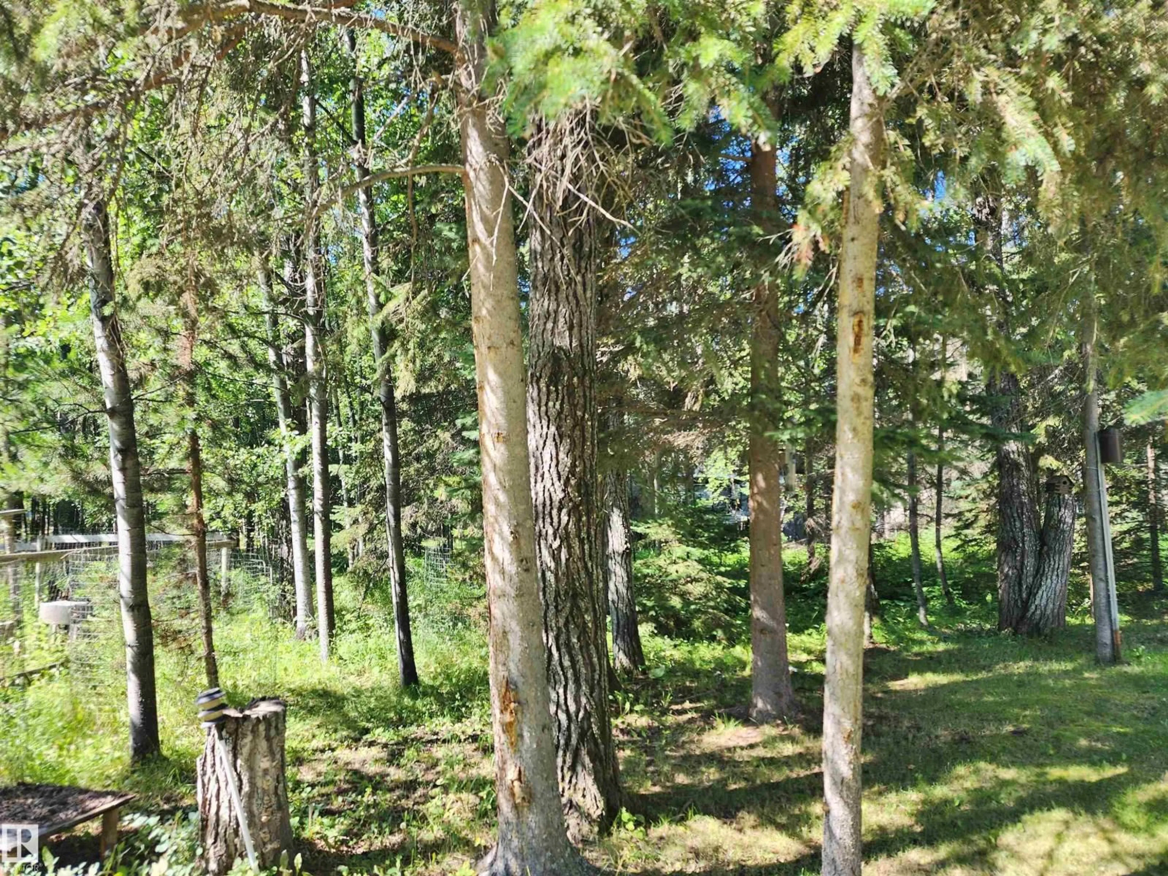 A pic from outside/outdoor area/front of a property/back of a property/a pic from drone, forest/trees view for 410 - 55061 TWP ROAD 462, Rural Wetaskiwin County Alberta T0C0T0