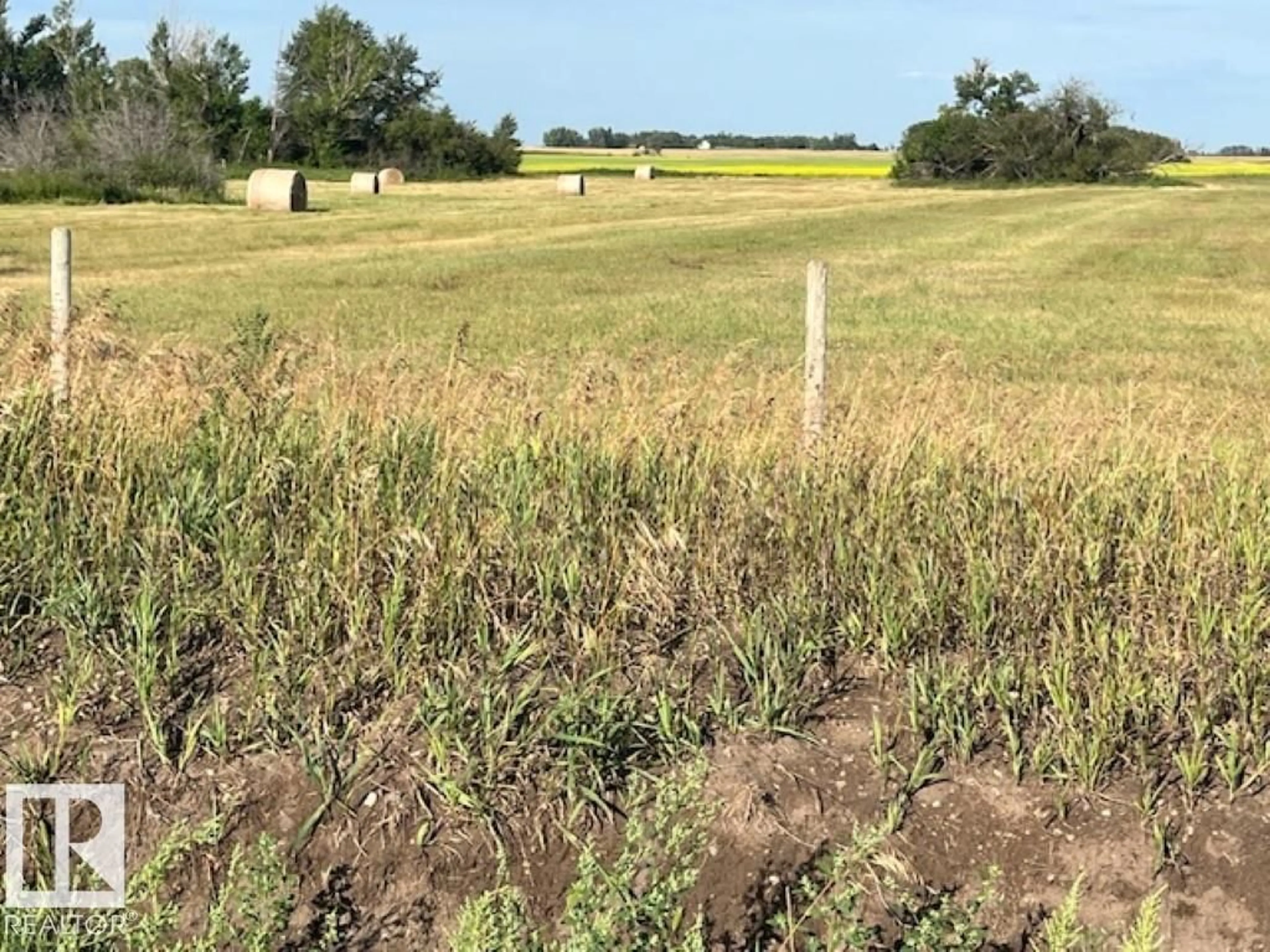 A pic from outside/outdoor area/front of a property/back of a property/a pic from drone, unknown for 54112 RGE ROAD 152, Rural Minburn County Alberta T9C1R2