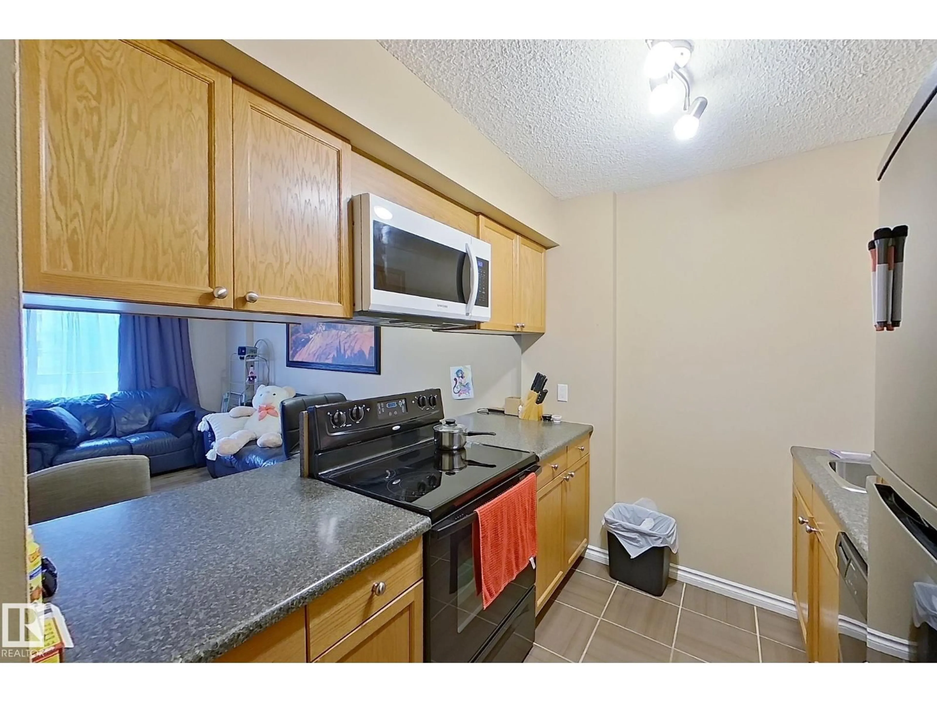 Standard kitchen, unknown for 204 - 12831 66 ST, Edmonton Alberta T5C0A4