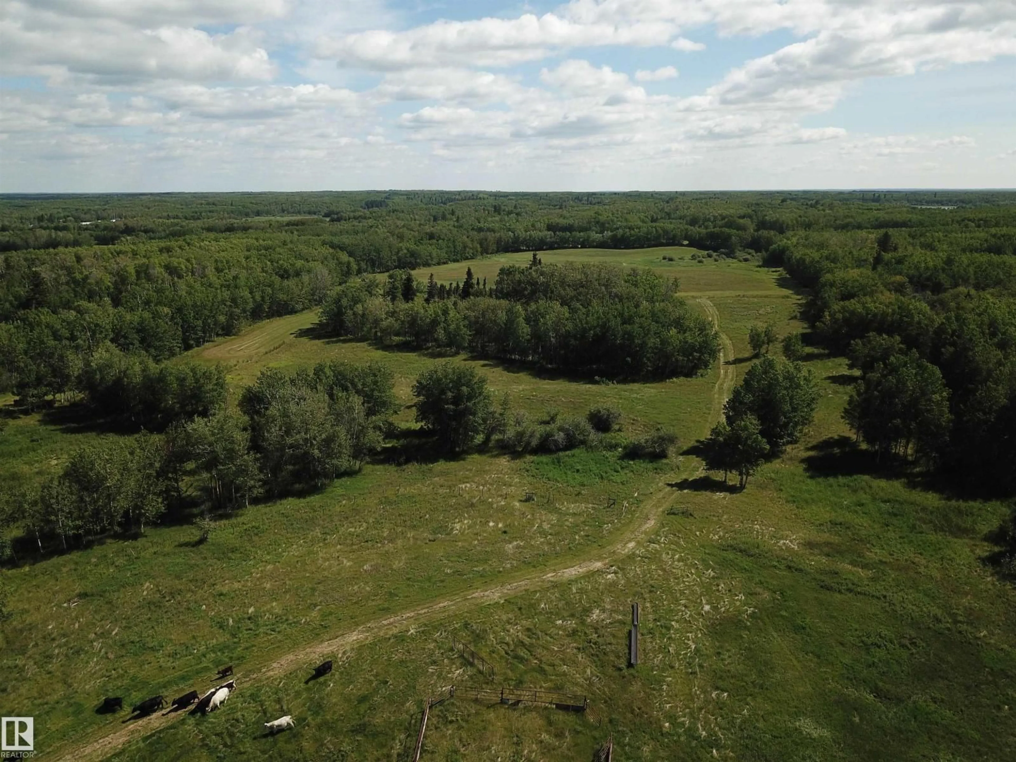 A pic from outside/outdoor area/front of a property/back of a property/a pic from drone, forest/trees view for 53121 RG RD 212, Rural Strathcona County Alberta T8G1G1