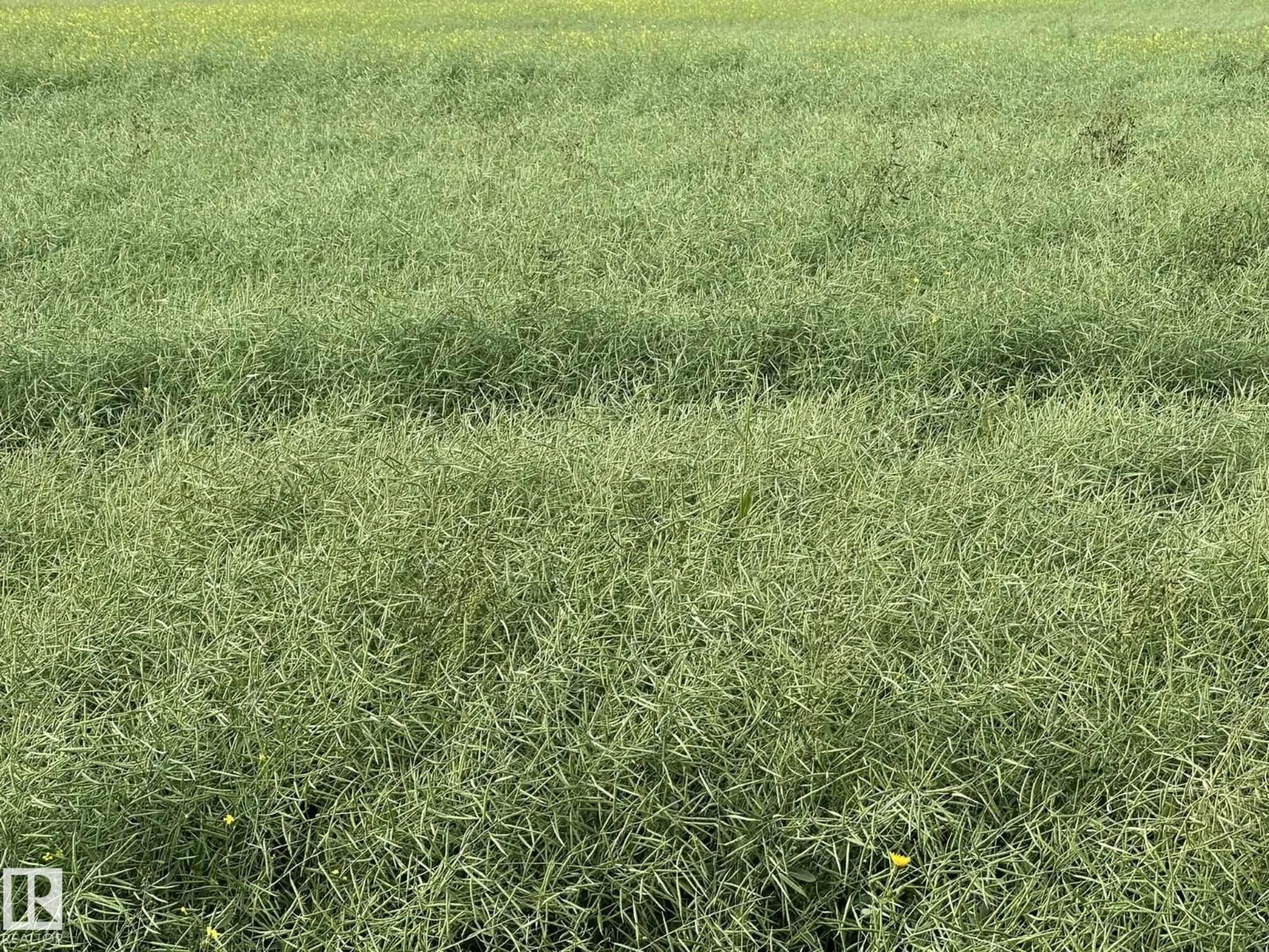 Blurry image for 20212 TOWNSHIP 602 RD, Rural Thorhild County Alberta T0A3P0