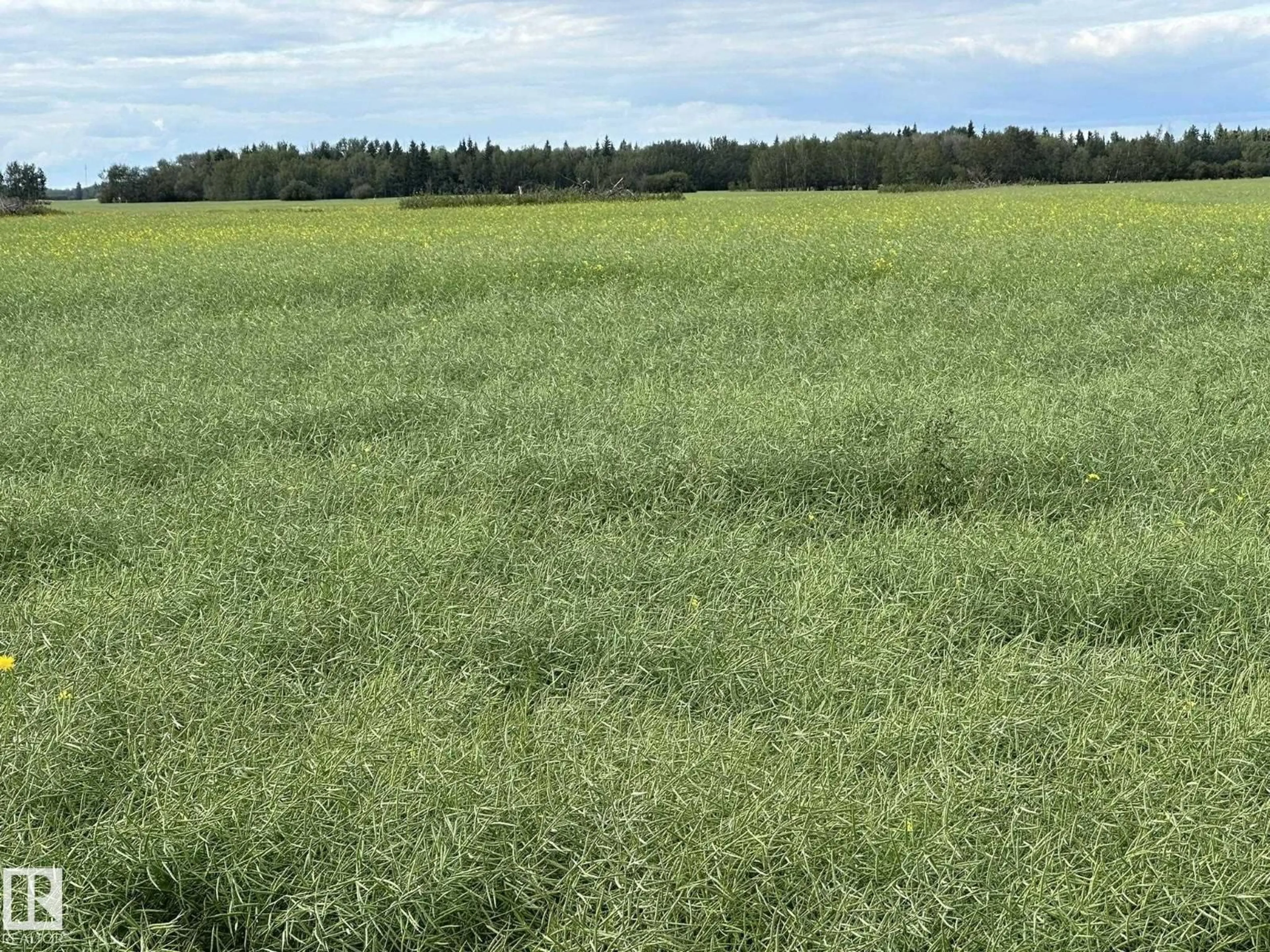 Blurry image for 20212 TOWNSHIP 602 RD, Rural Thorhild County Alberta T0A3P0