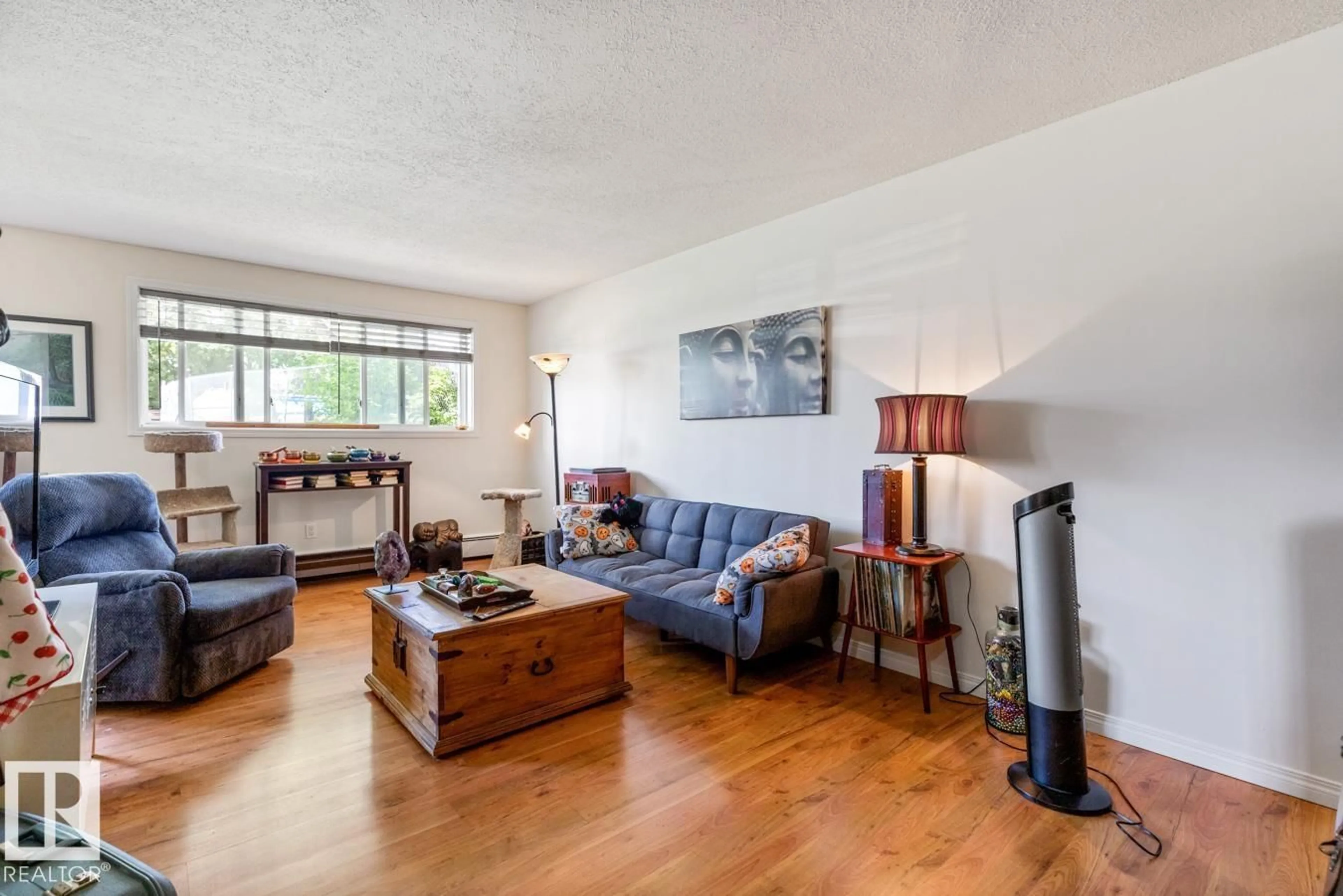 Living room with furniture, wood/laminate floor for #105 - 8930 149 ST, Edmonton Alberta T5R1B8