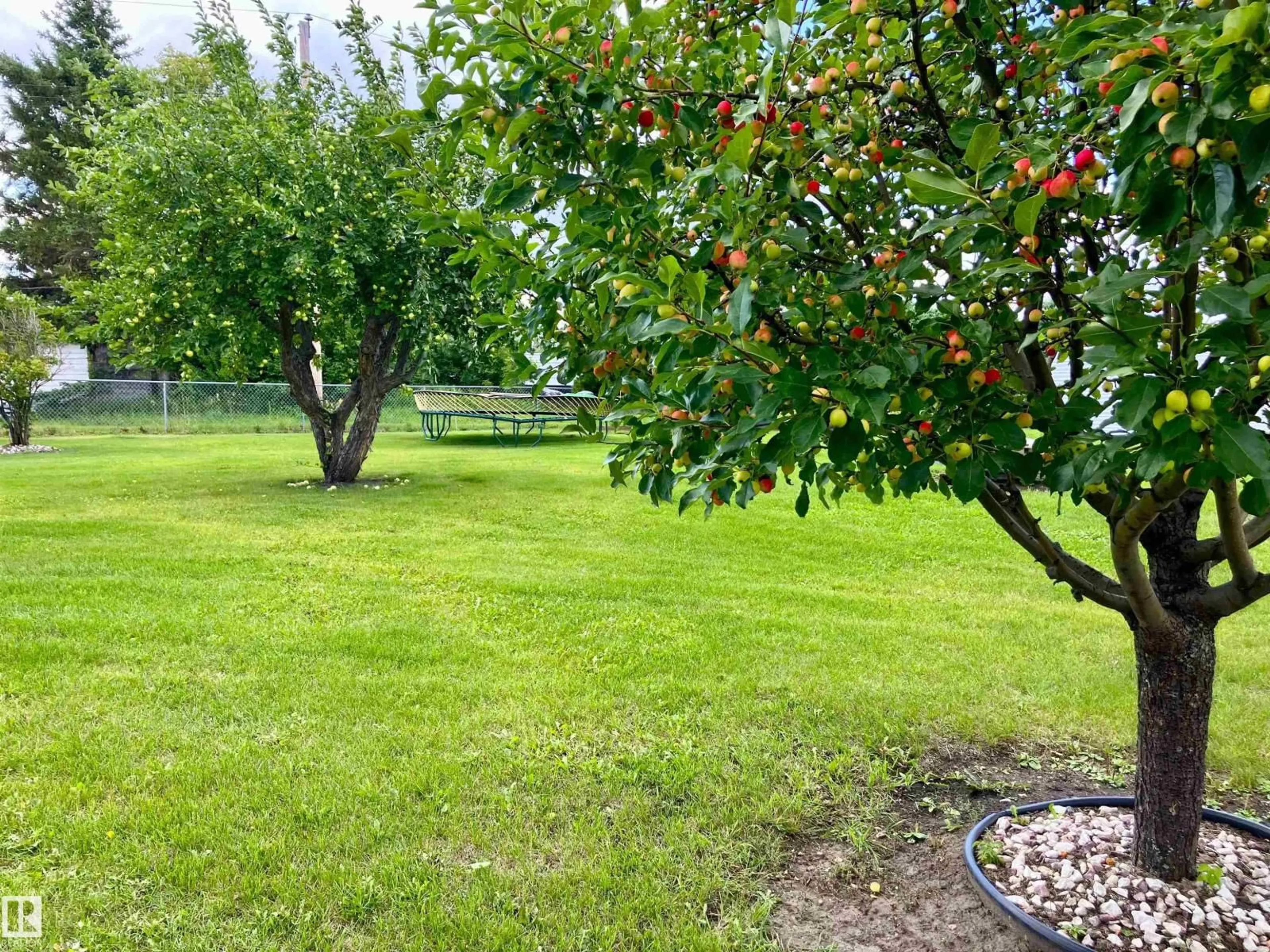 A pic from outside/outdoor area/front of a property/back of a property/a pic from drone, forest/trees view for 175 - 15 HWY, Rural Lamont County Alberta T0B3H0