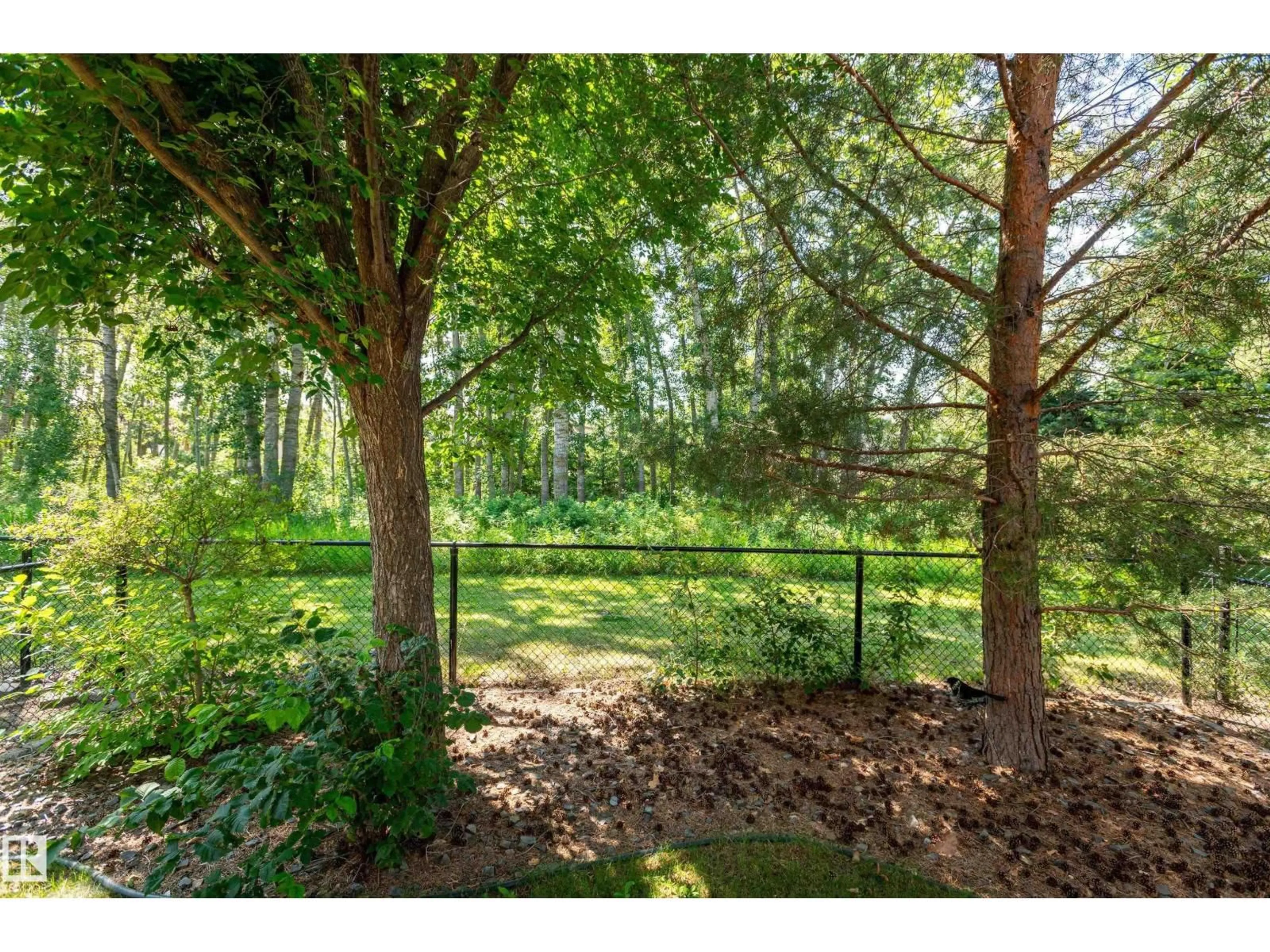 Patio, forest/trees view for 133 - 14 EASTGATE WY, St. Albert Alberta T8N7M9