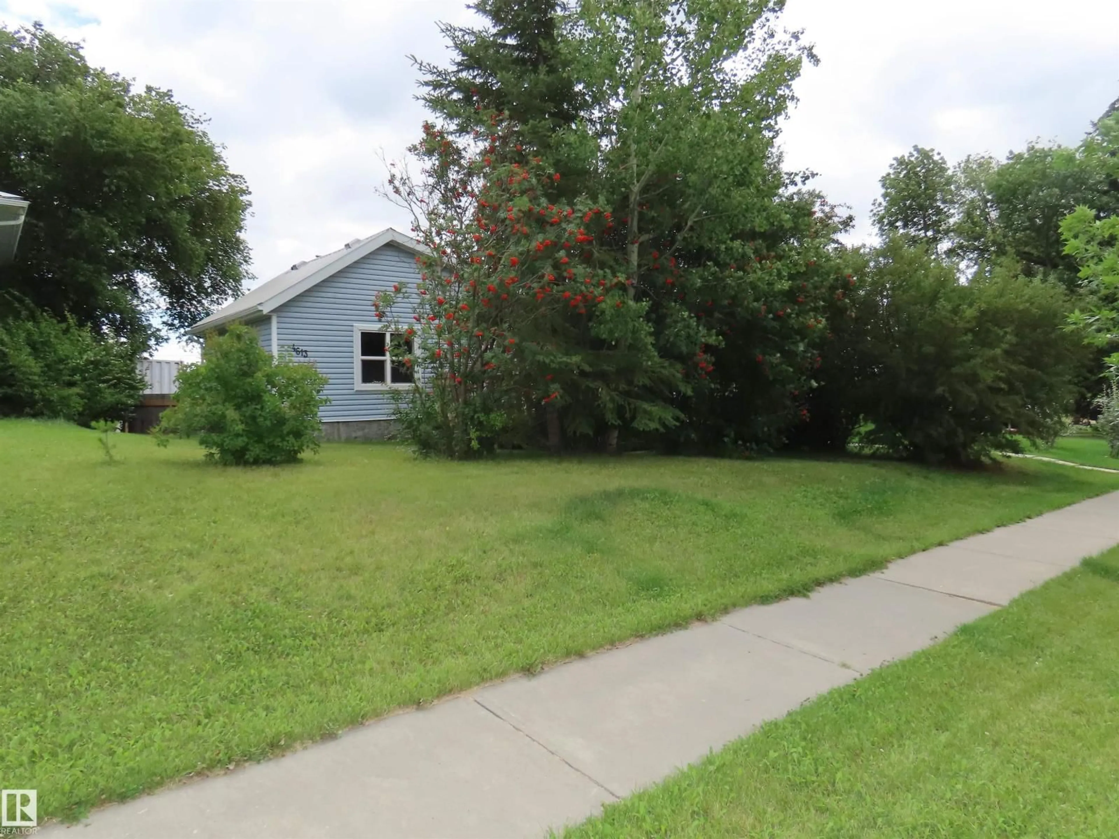 Blurry image for 4613 53 ST, Mayerthorpe Alberta T0E1V0