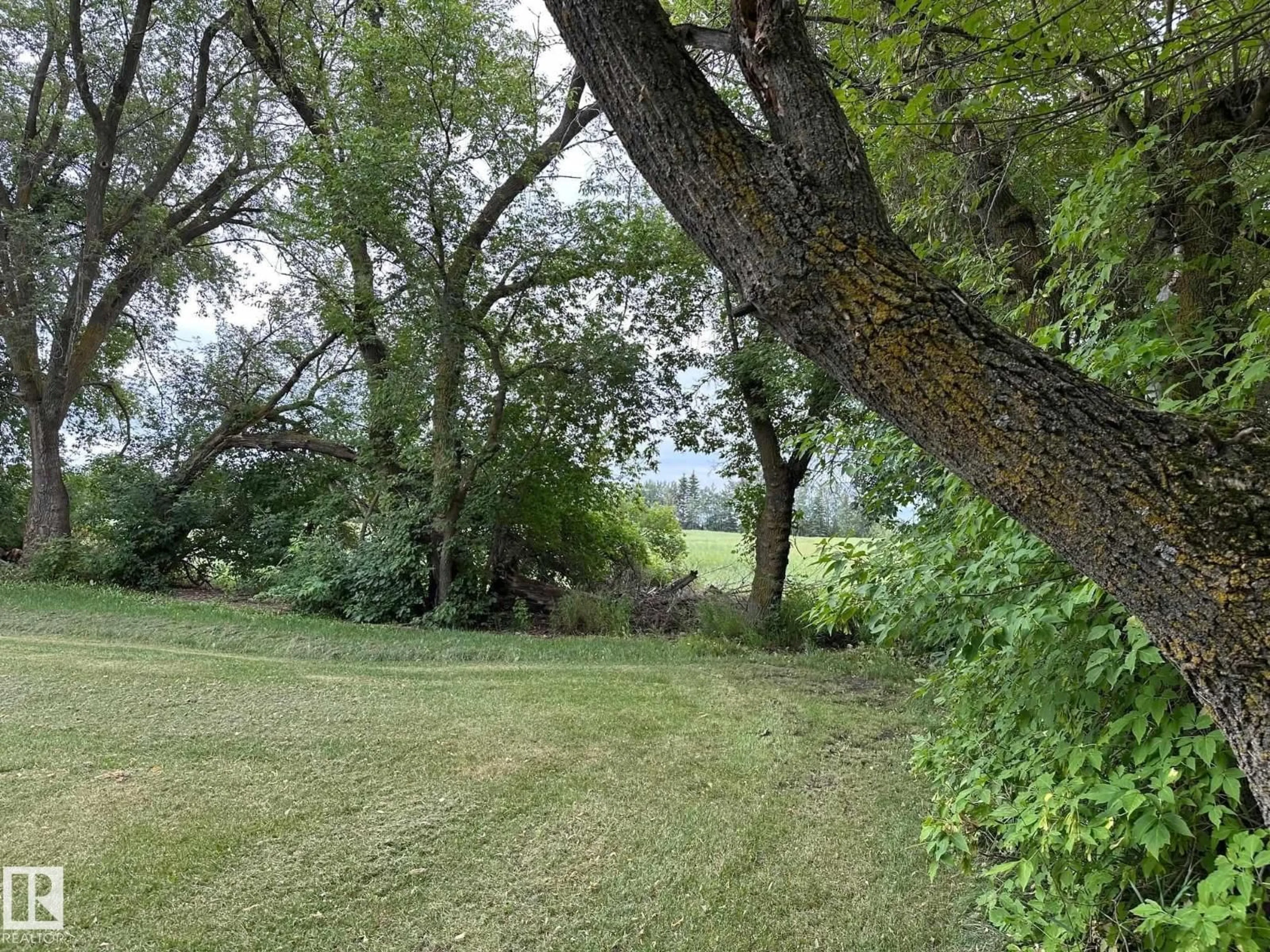 A pic from outside/outdoor area/front of a property/back of a property/a pic from drone, forest/trees view for 60111 RANGE ROAD 183, Rural Smoky Lake County Alberta T0A3P0