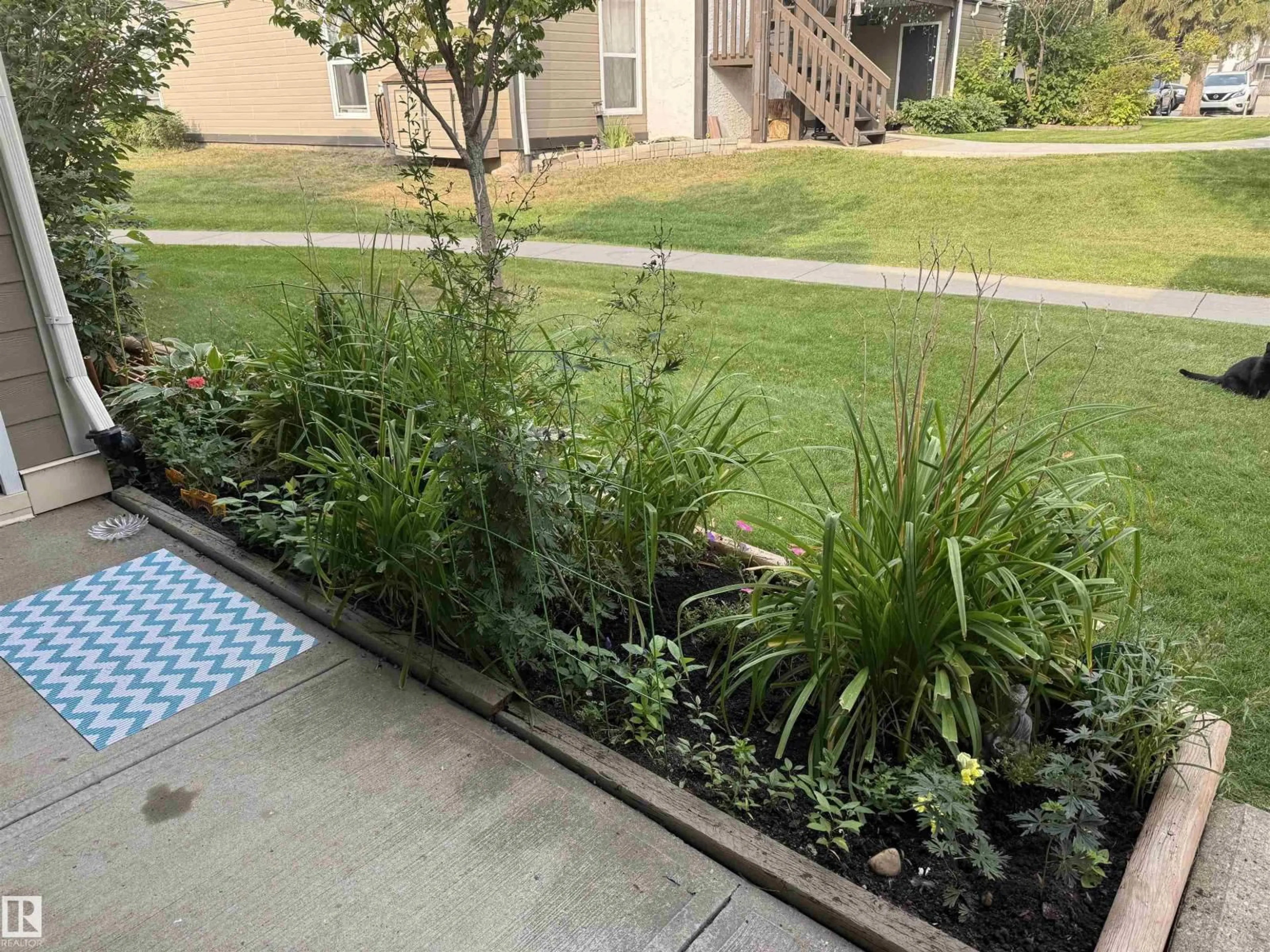 Patio, street for 11154 18 AV, Edmonton Alberta T6J4T9