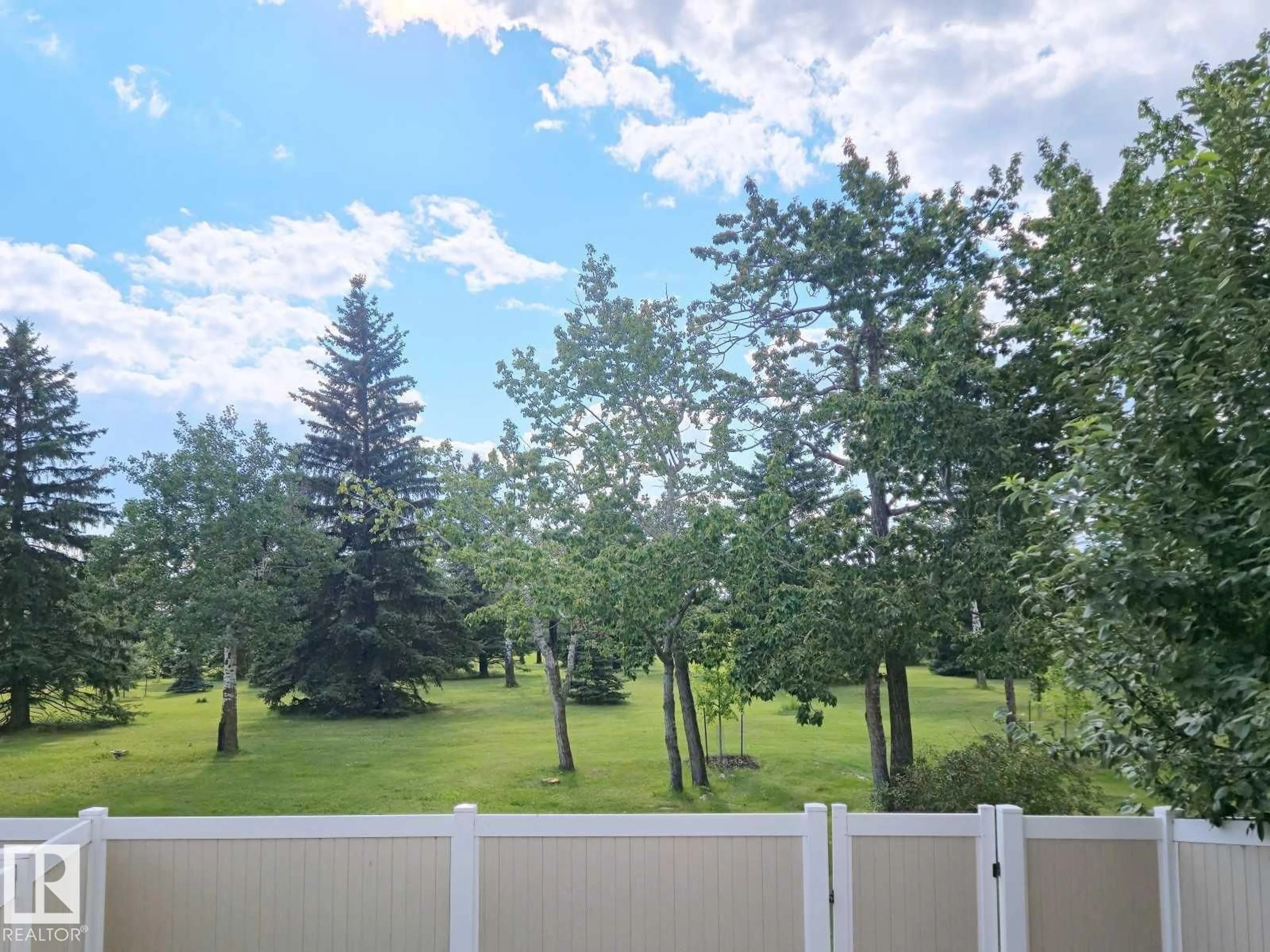 A pic from outside/outdoor area/front of a property/back of a property/a pic from drone, forest/trees view for NW - 14458 56 ST, Edmonton Alberta T5A3R1