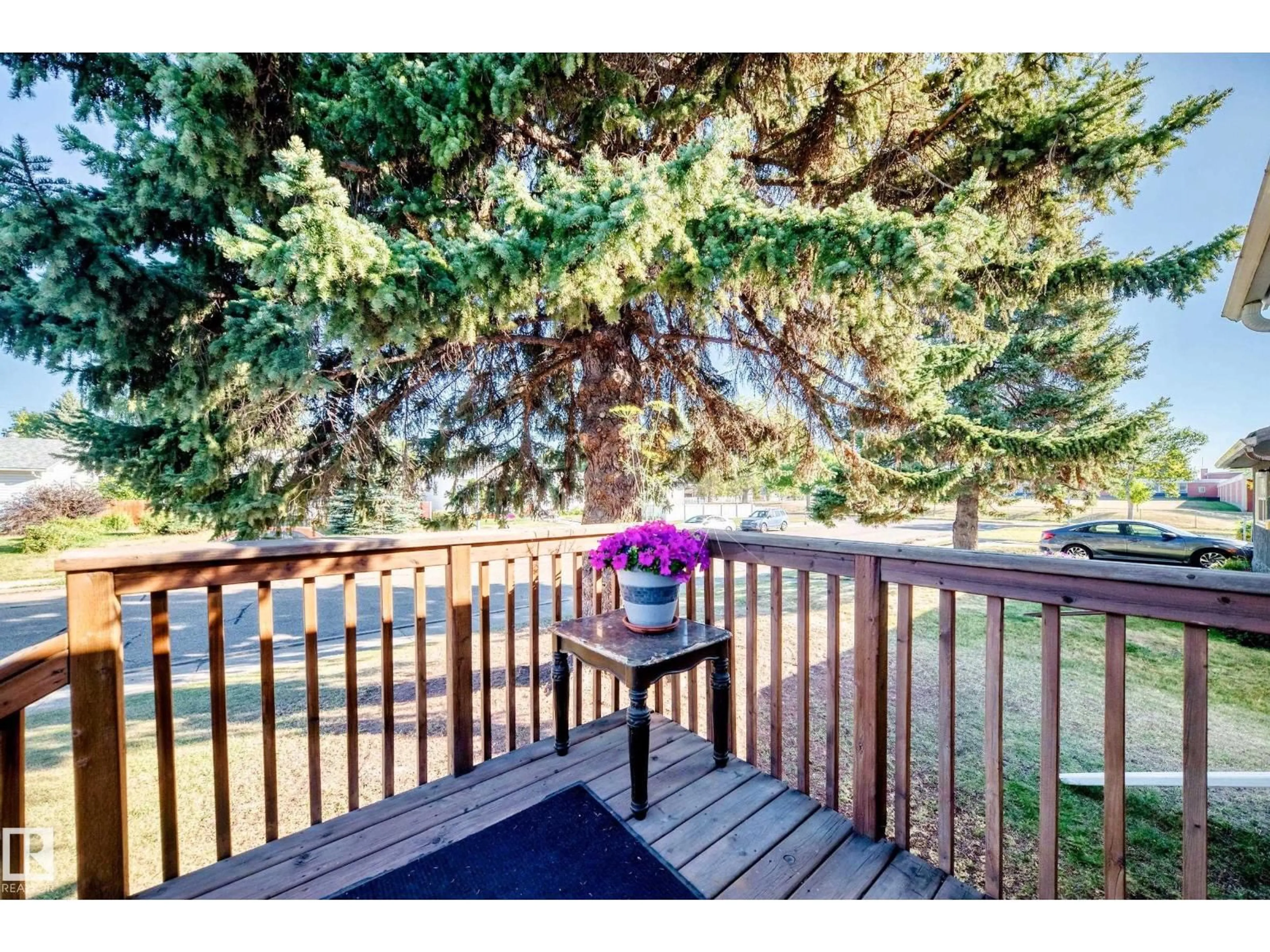 Unknown for 4209 116 AV, Edmonton Alberta T5W0W9