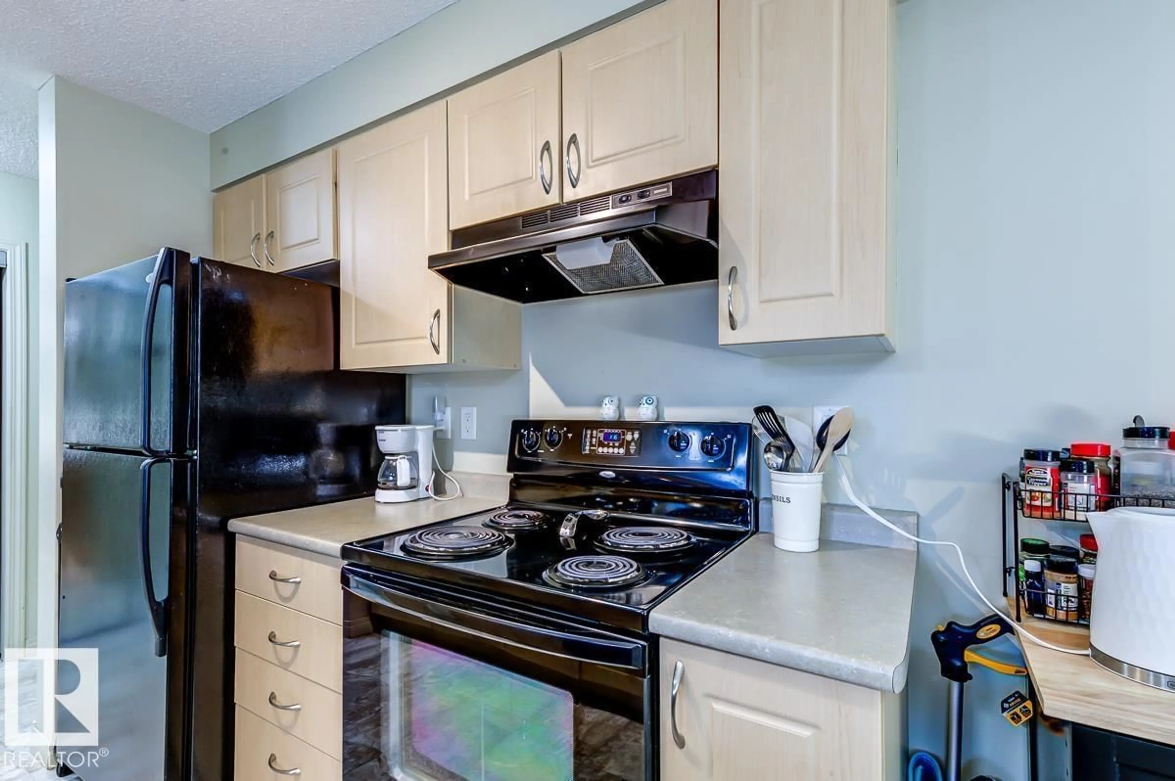Standard kitchen, unknown for #316 - 13907 136 ST, Edmonton Alberta T6V1Y5