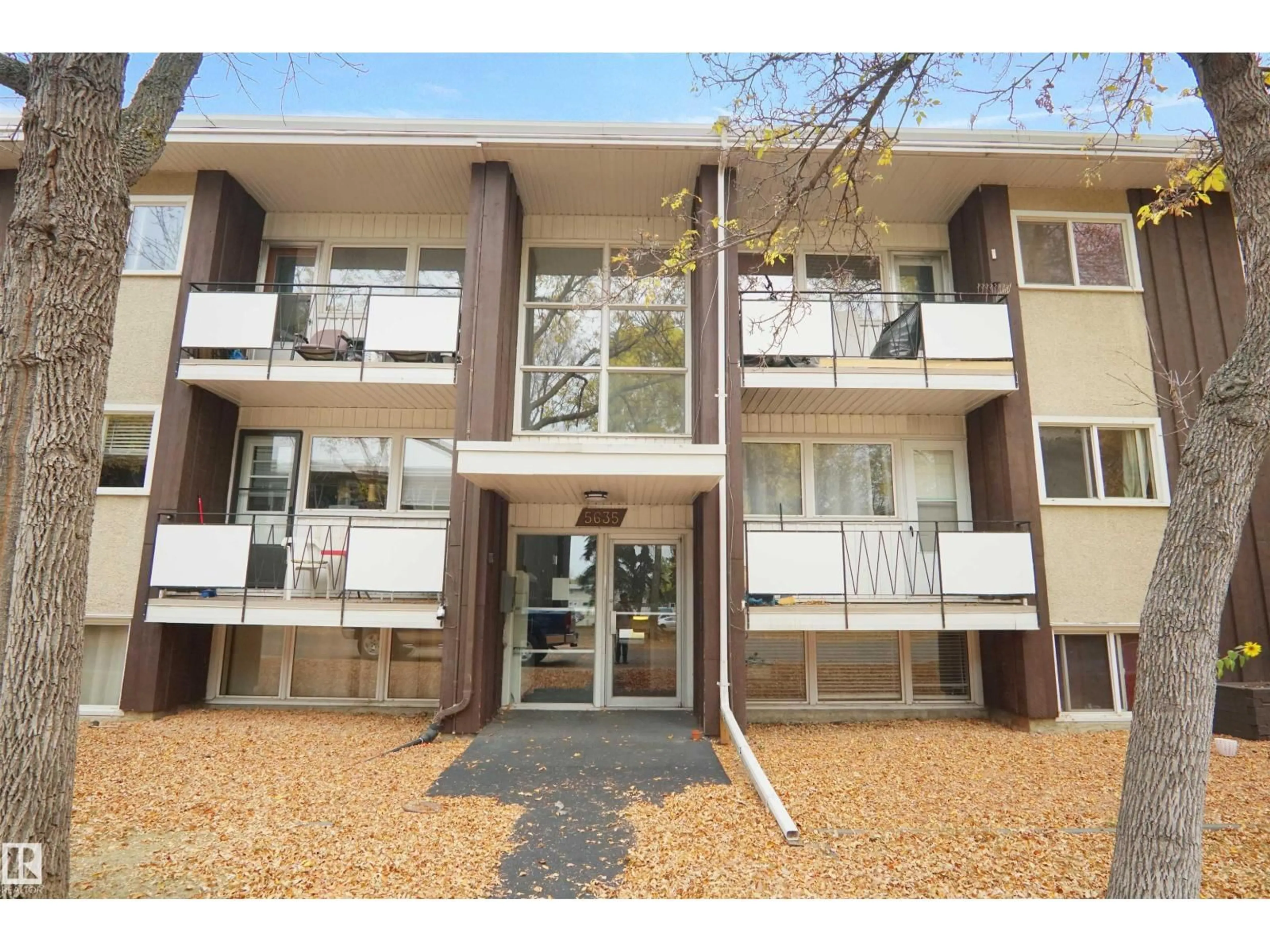 Patio, building for 5635 105 ST, Edmonton Alberta T6H2N2