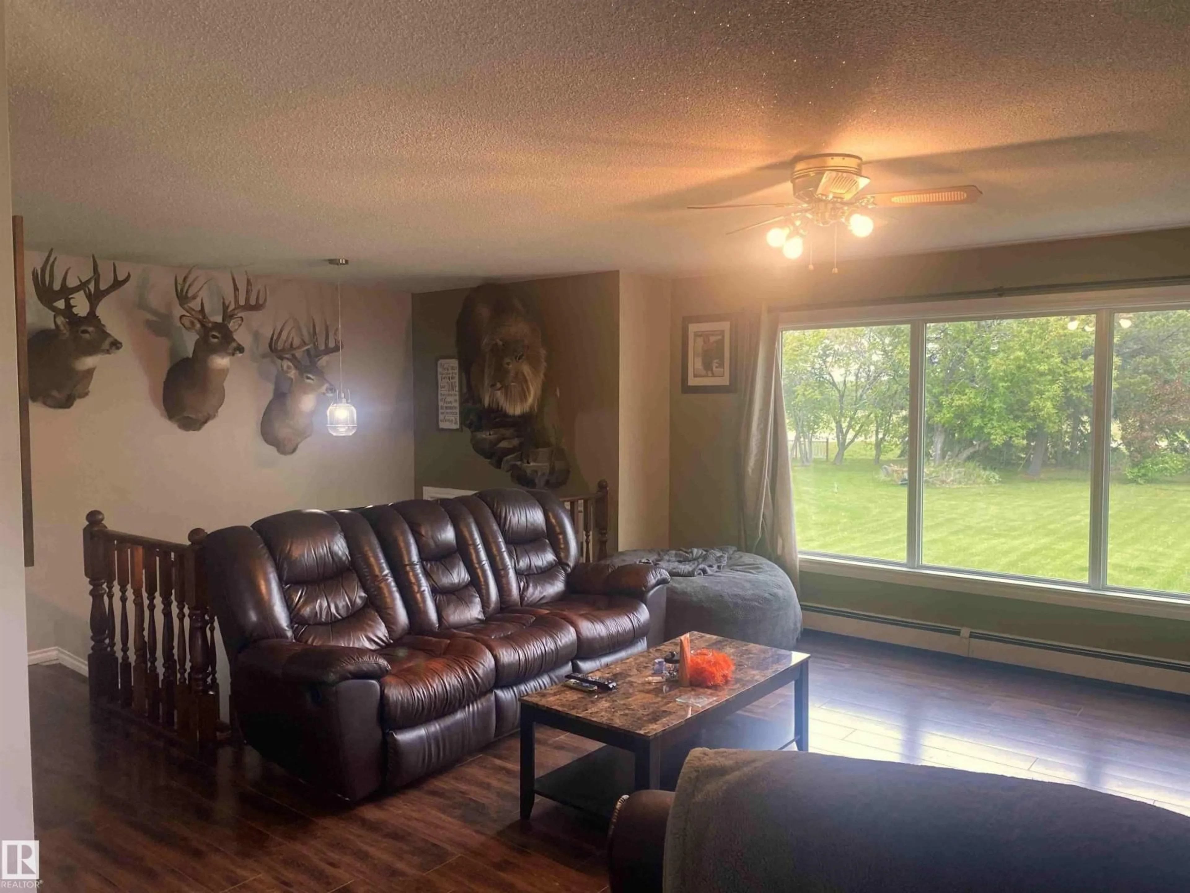 Living room with furniture, wood/laminate floor for 48214 RGE RD 42, Rural Brazeau County Alberta T0C0P0