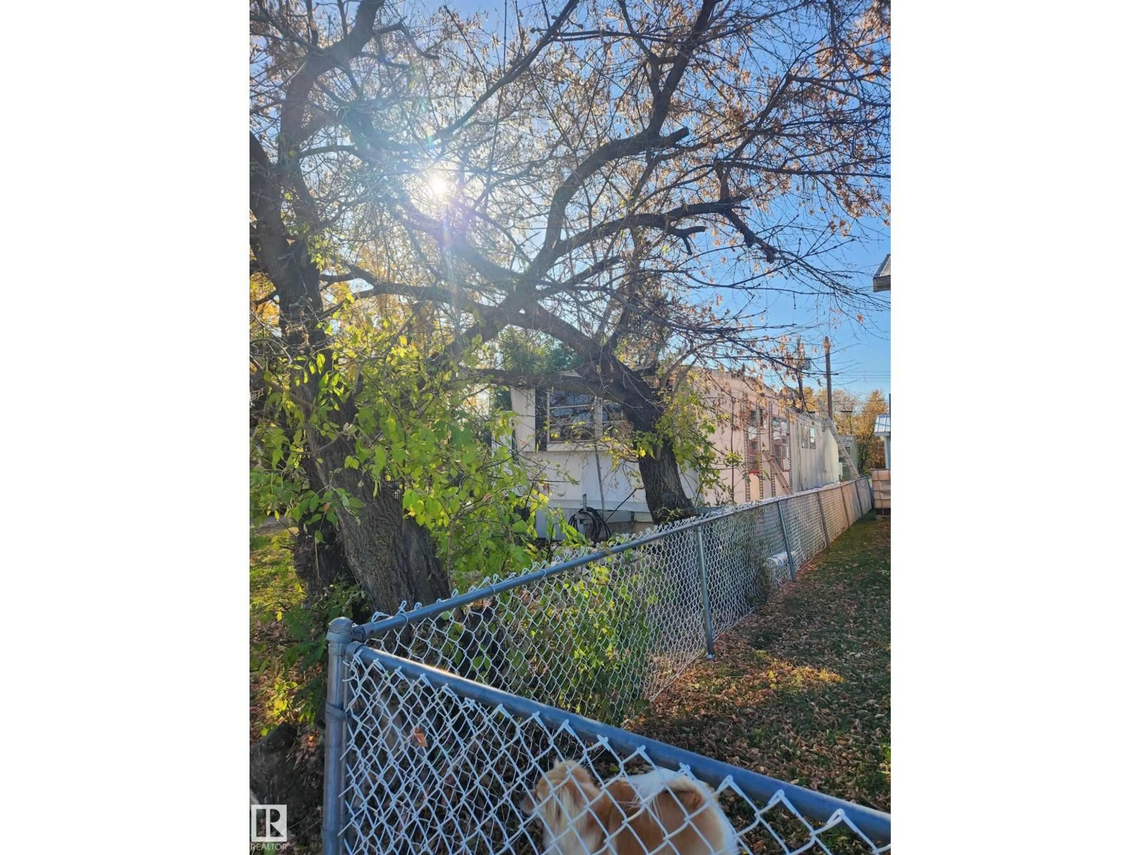 Blurry image for 4834 47 ST, Thorsby Alberta T0C2P0