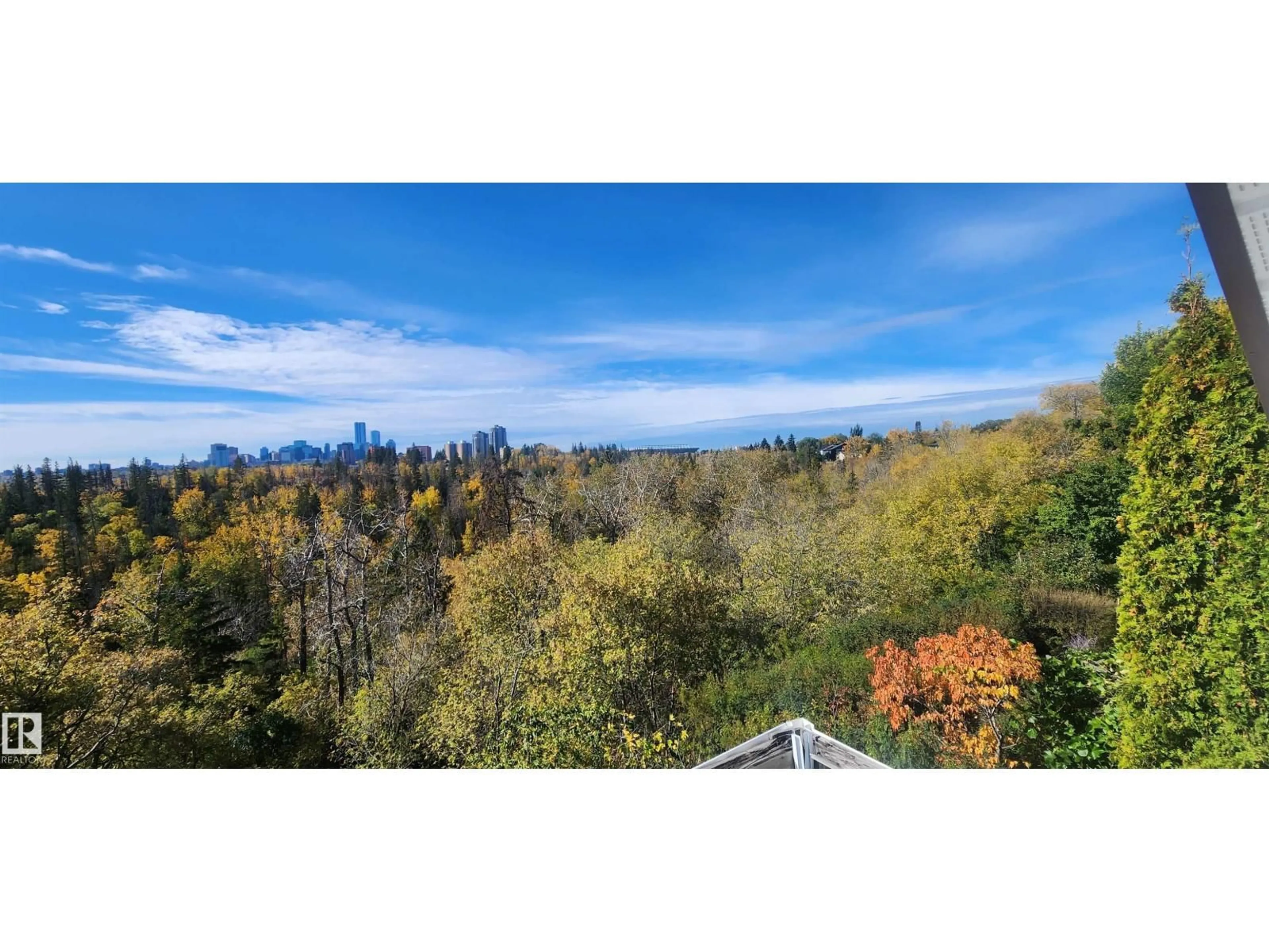 A pic from outside/outdoor area/front of a property/back of a property/a pic from drone, forest/trees view for 10870 75 ST, Edmonton Alberta T5B2A9