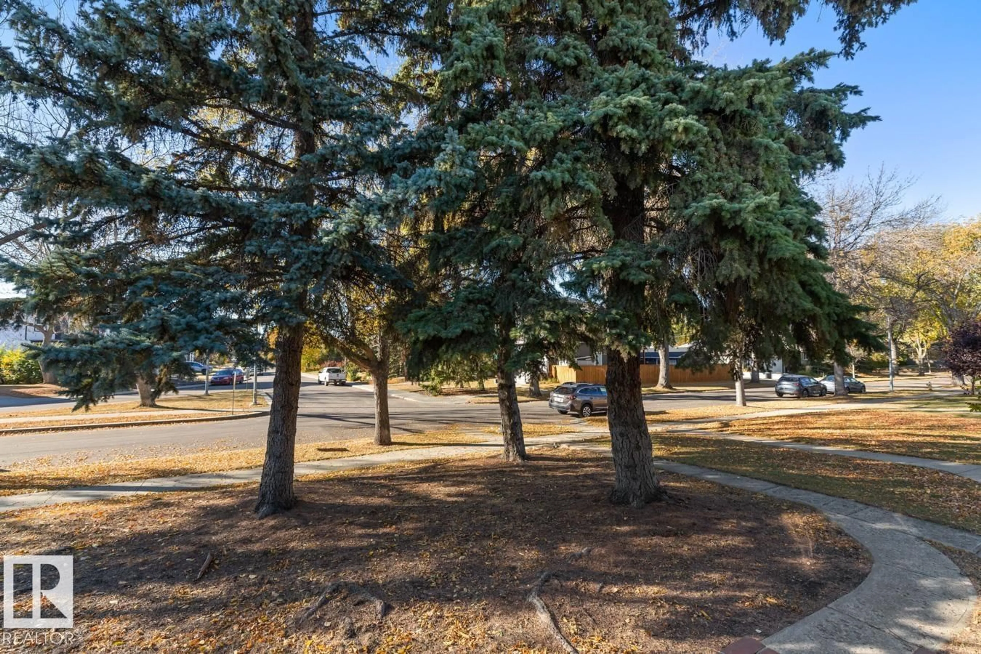 Unknown for 8671 76 ST, Edmonton Alberta T6C2K1