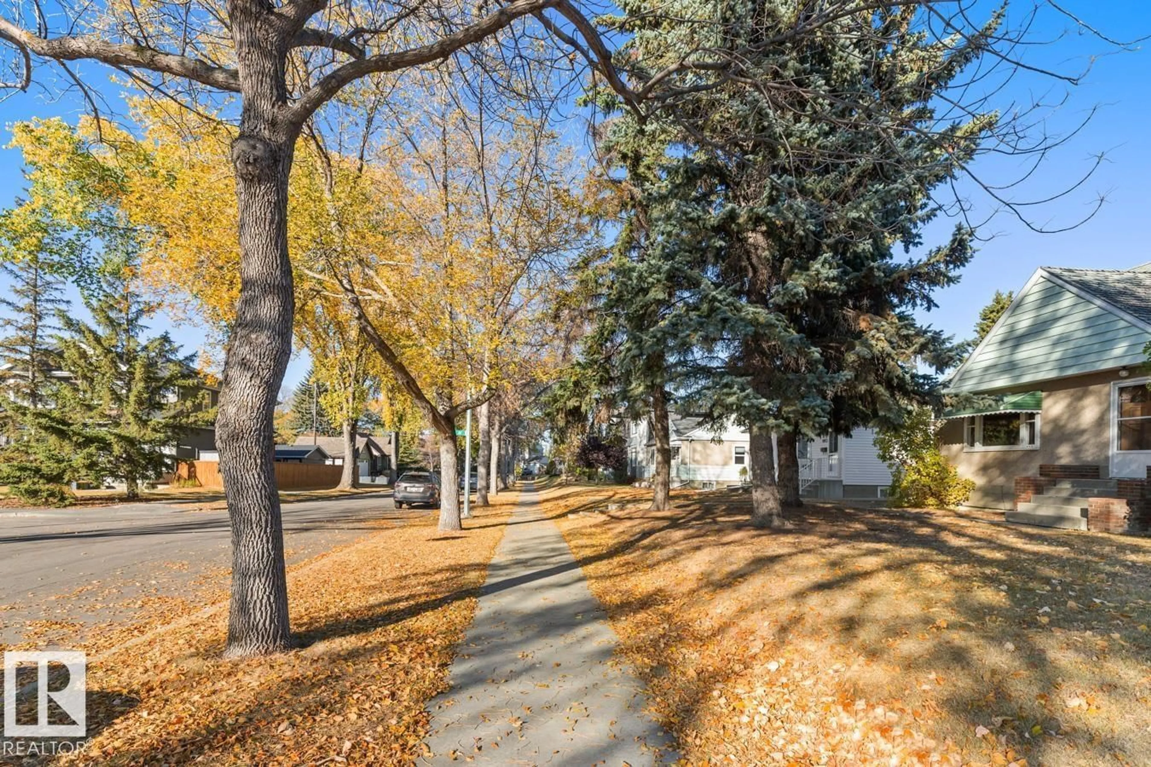 Patio, street for 8671 76 ST, Edmonton Alberta T6C2K1