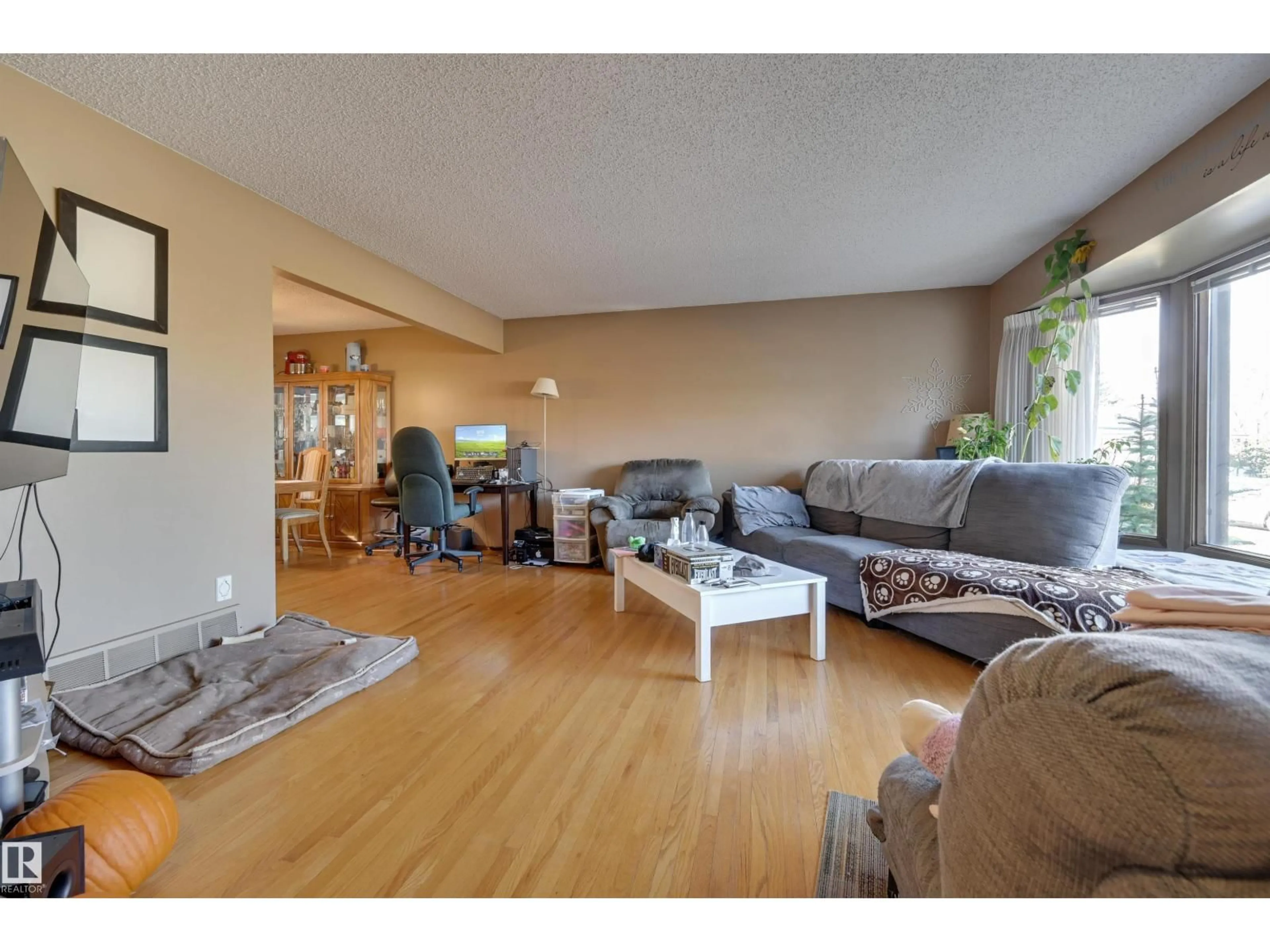 Living room with furniture, wood/laminate floor for NW - 10463 21 AV, Edmonton Alberta T6J5E9