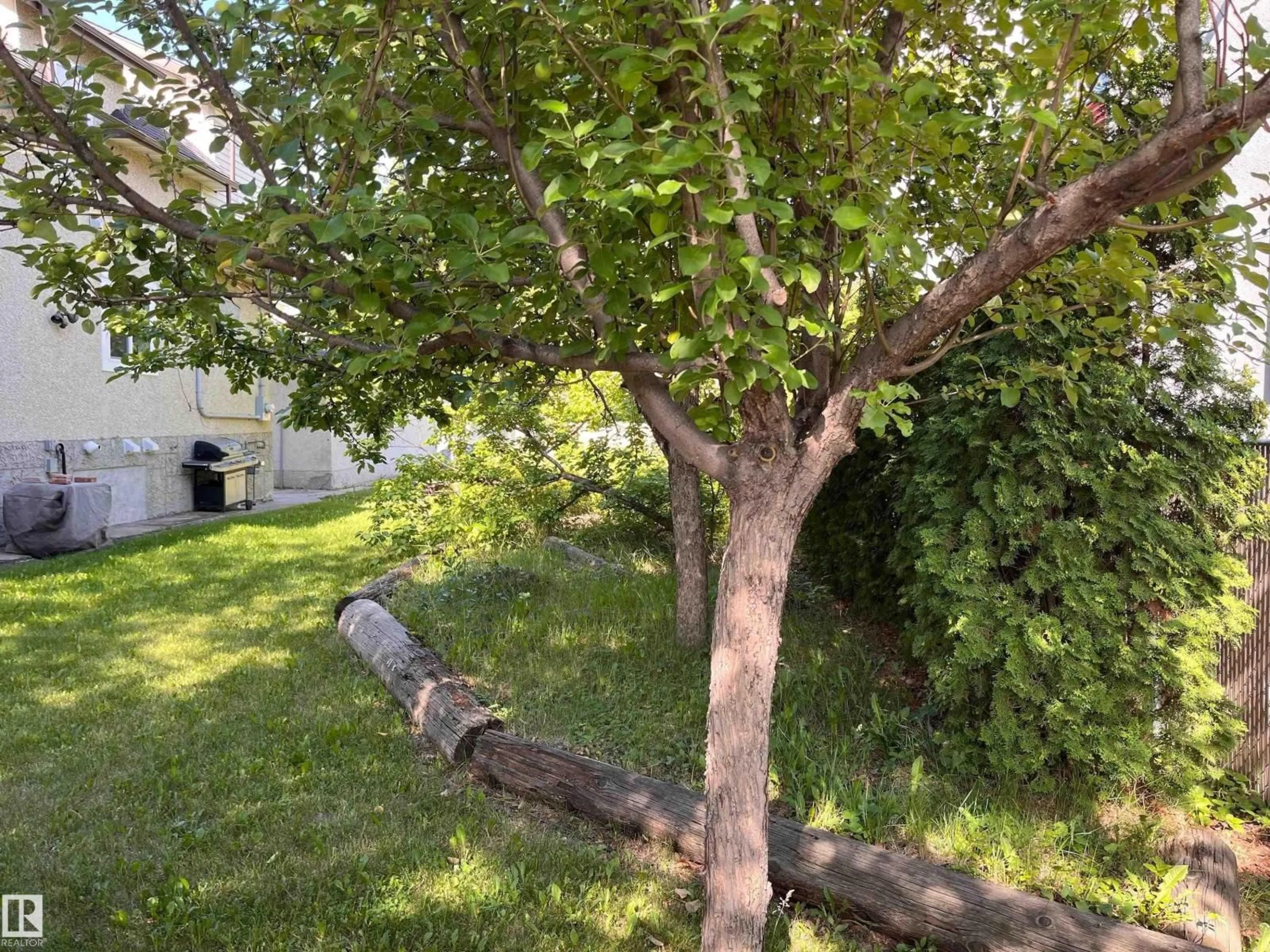 Patio, street for 11910 76 ST, Edmonton Alberta T5B2C7