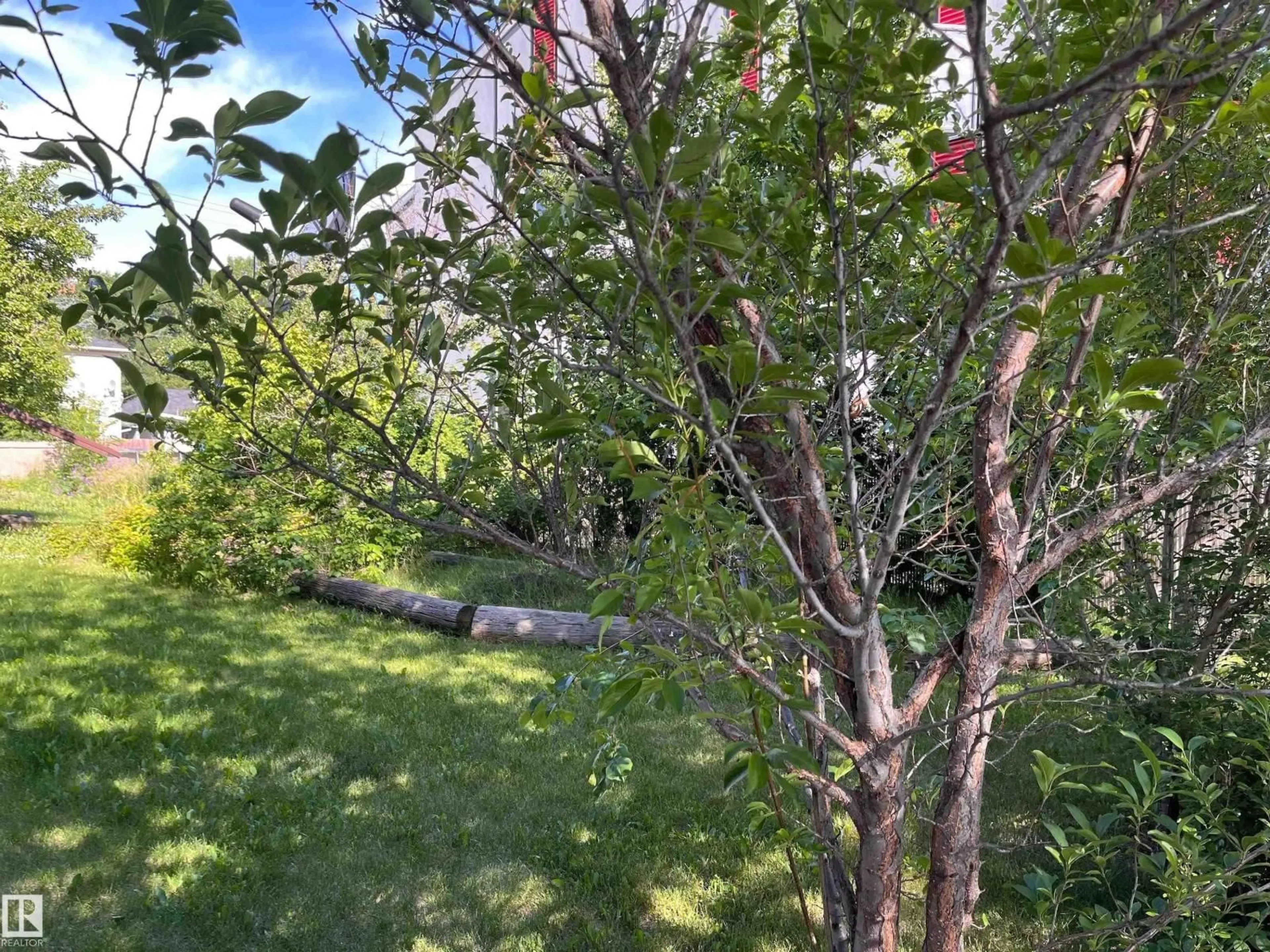A pic from outside/outdoor area/front of a property/back of a property/a pic from drone, forest/trees view for 11910 76 ST, Edmonton Alberta T5B2C7