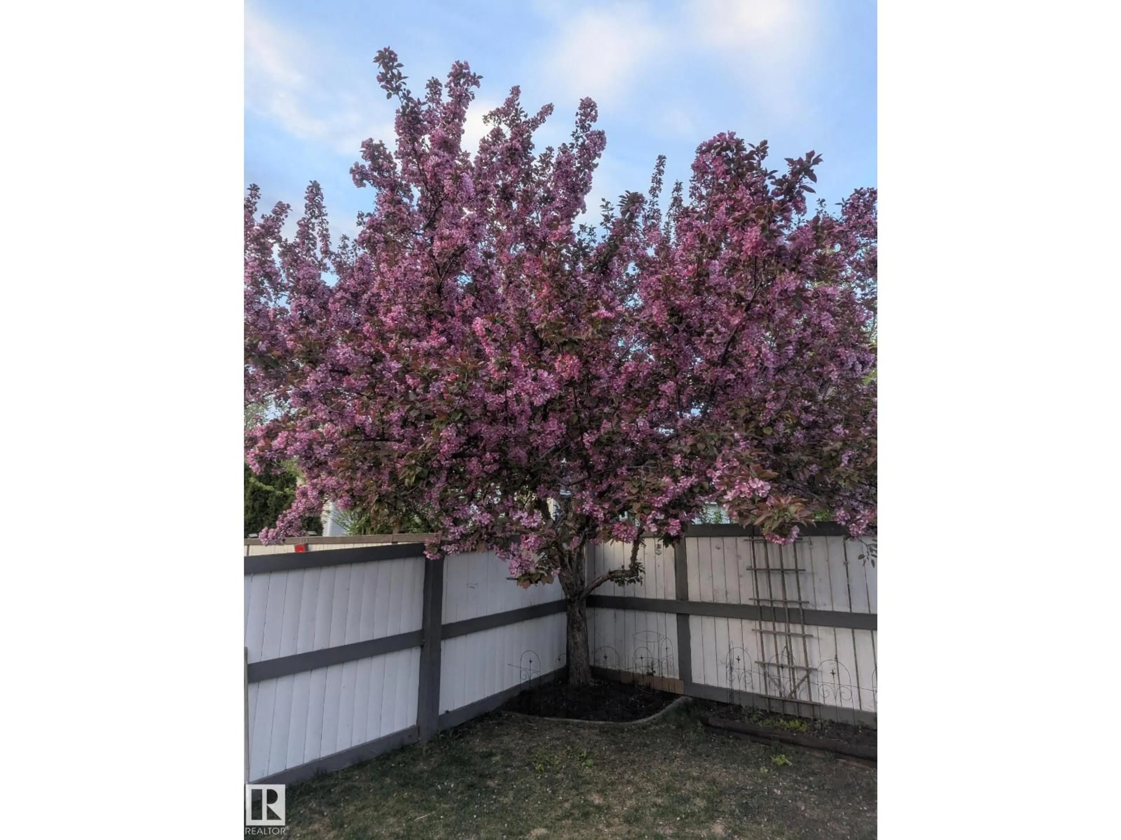 Blurry image for 158 MEADOWVIEW DR, Sherwood Park Alberta T8H1P8
