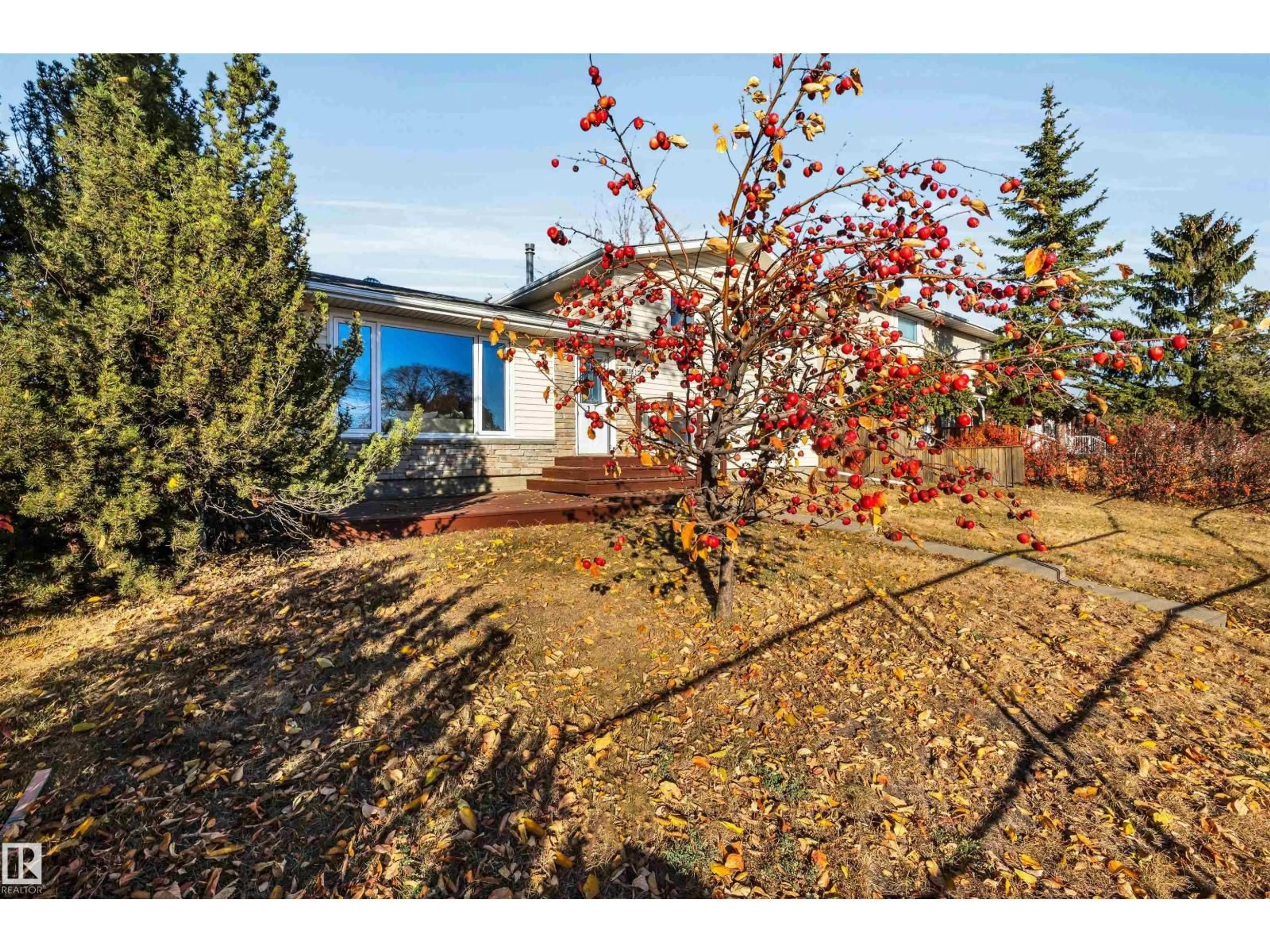 A pic from outside/outdoor area/front of a property/back of a property/a pic from drone, unknown for 16208 87 AV, Edmonton Alberta T5R4G9