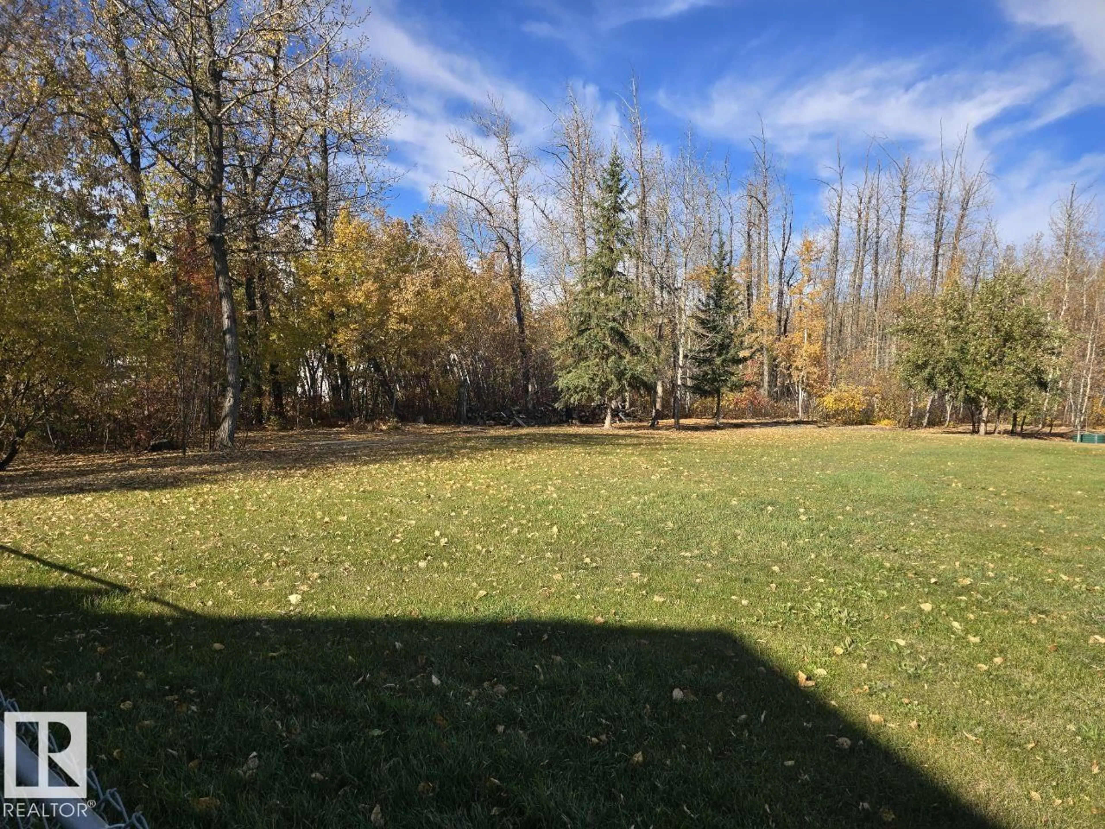 A pic from outside/outdoor area/front of a property/back of a property/a pic from drone, forest/trees view for 13904 162 AV, Edmonton Alberta T6V1J4