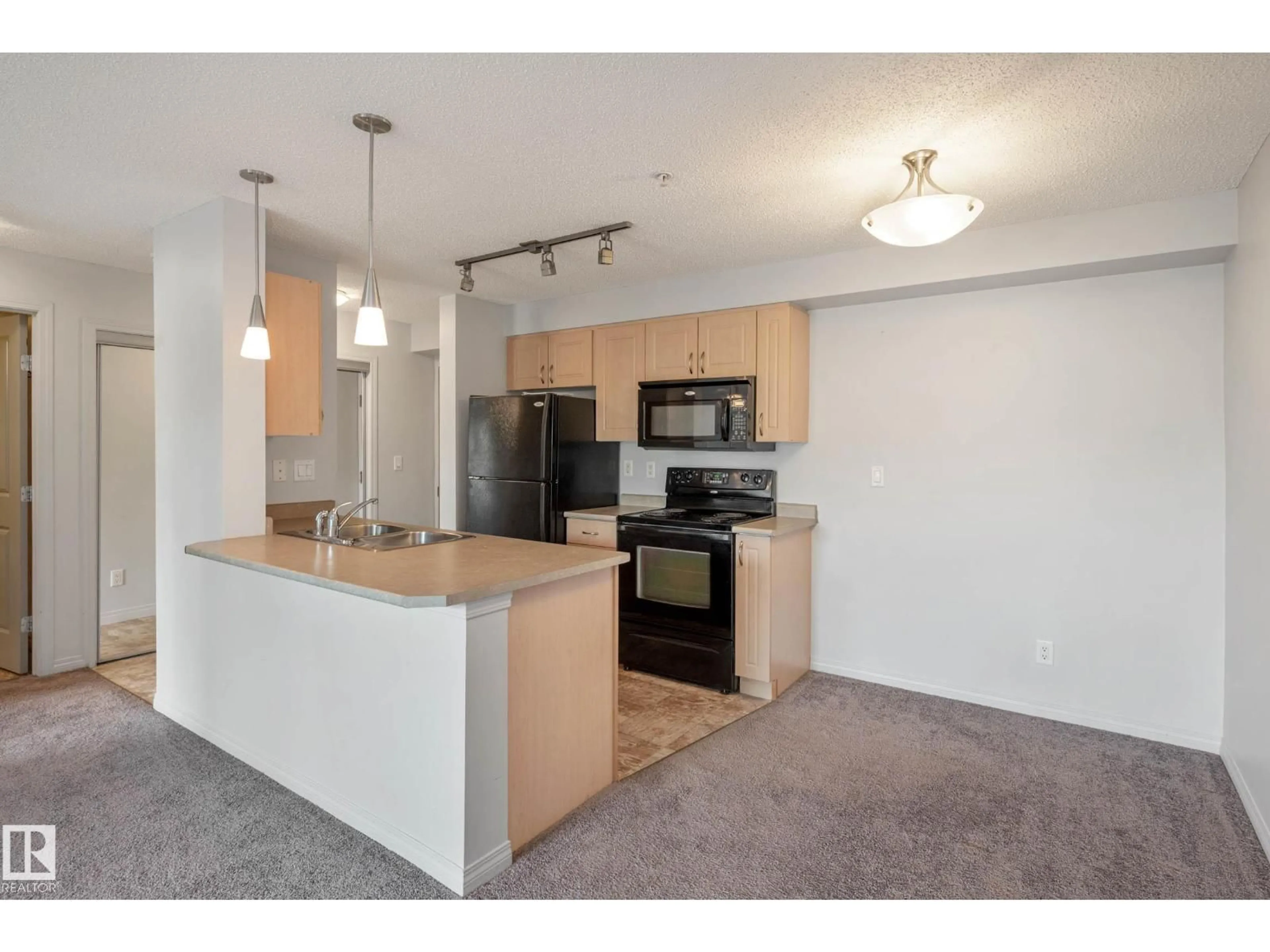Standard kitchen, unknown for #319 - 13907 136 ST, Edmonton Alberta T6V1Y5