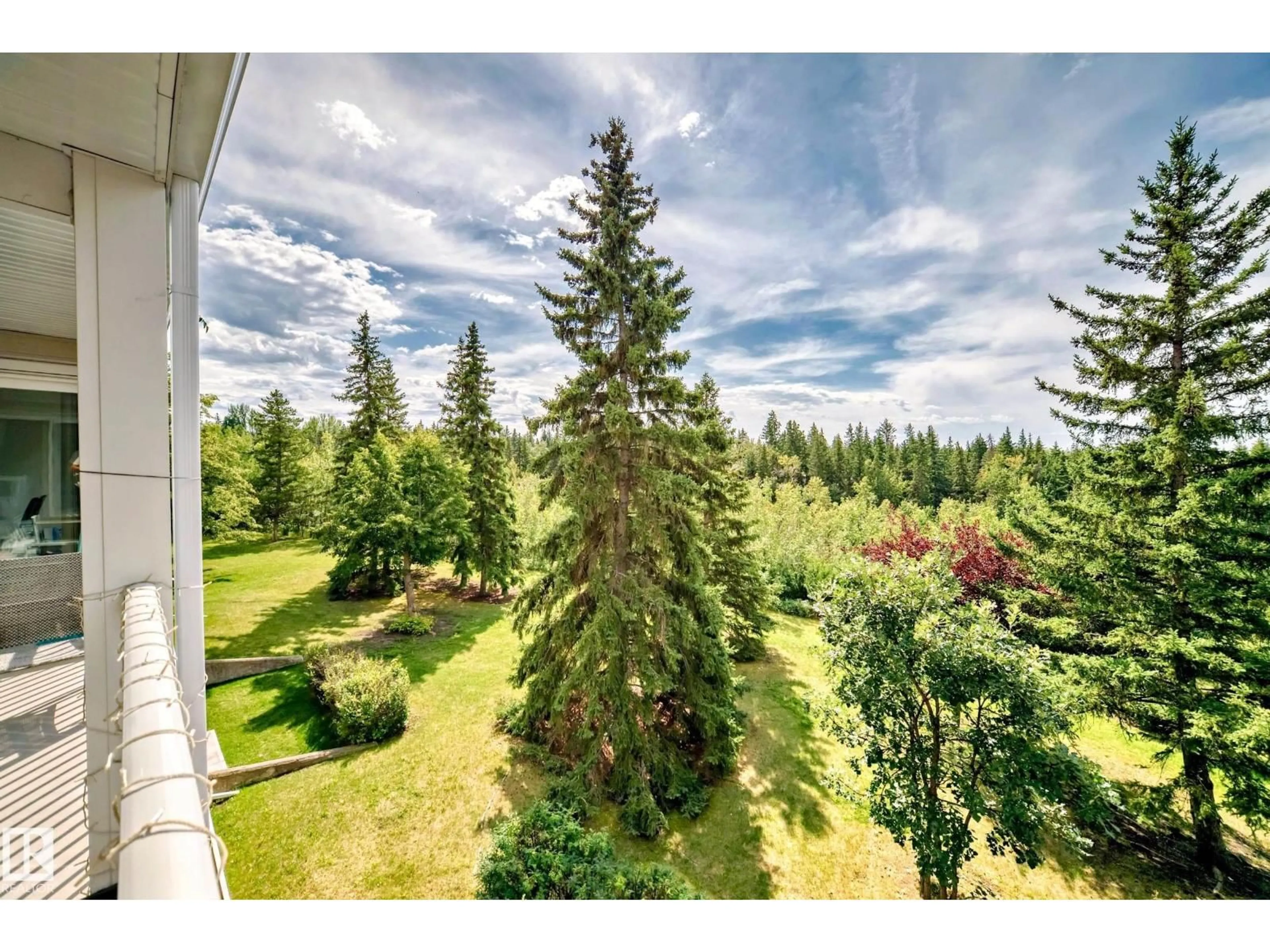 A pic from outside/outdoor area/front of a property/back of a property/a pic from drone, forest/trees view for #306 - 4404 122 ST NW, Edmonton Alberta T6J4A9