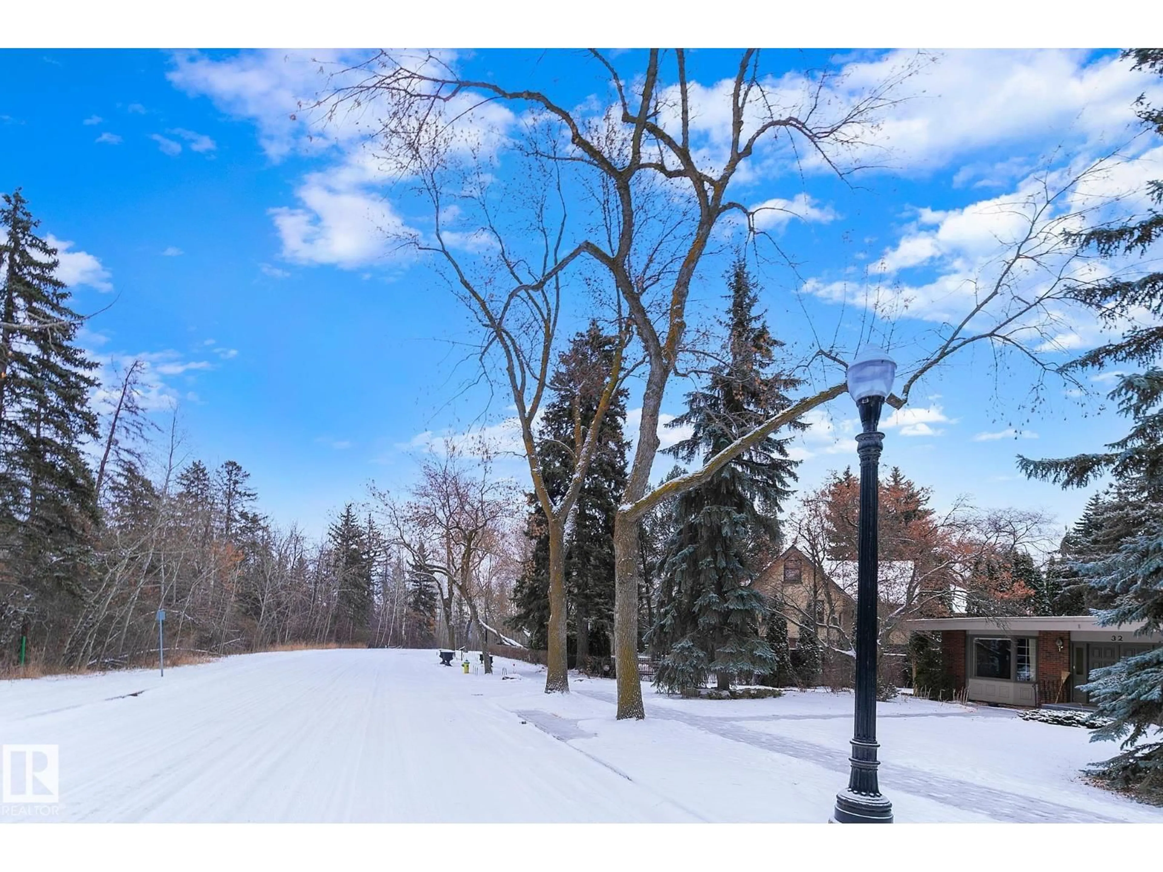 A pic from outside/outdoor area/front of a property/back of a property/a pic from drone, forest/trees view for 32 ST GEORGE'S CR, Edmonton Alberta T5N3M7