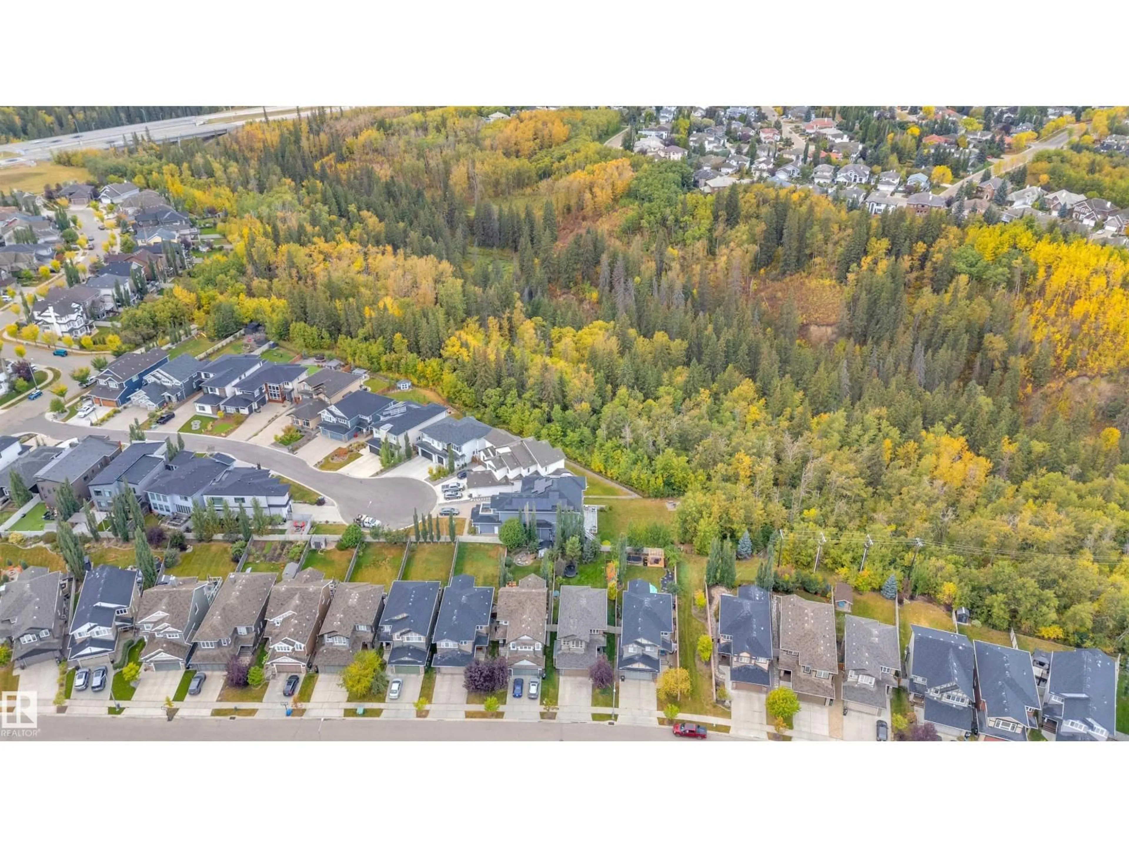 A pic from outside/outdoor area/front of a property/back of a property/a pic from drone, forest/trees view for 1422 CHAHLEY PL, Edmonton Alberta T6M0J3