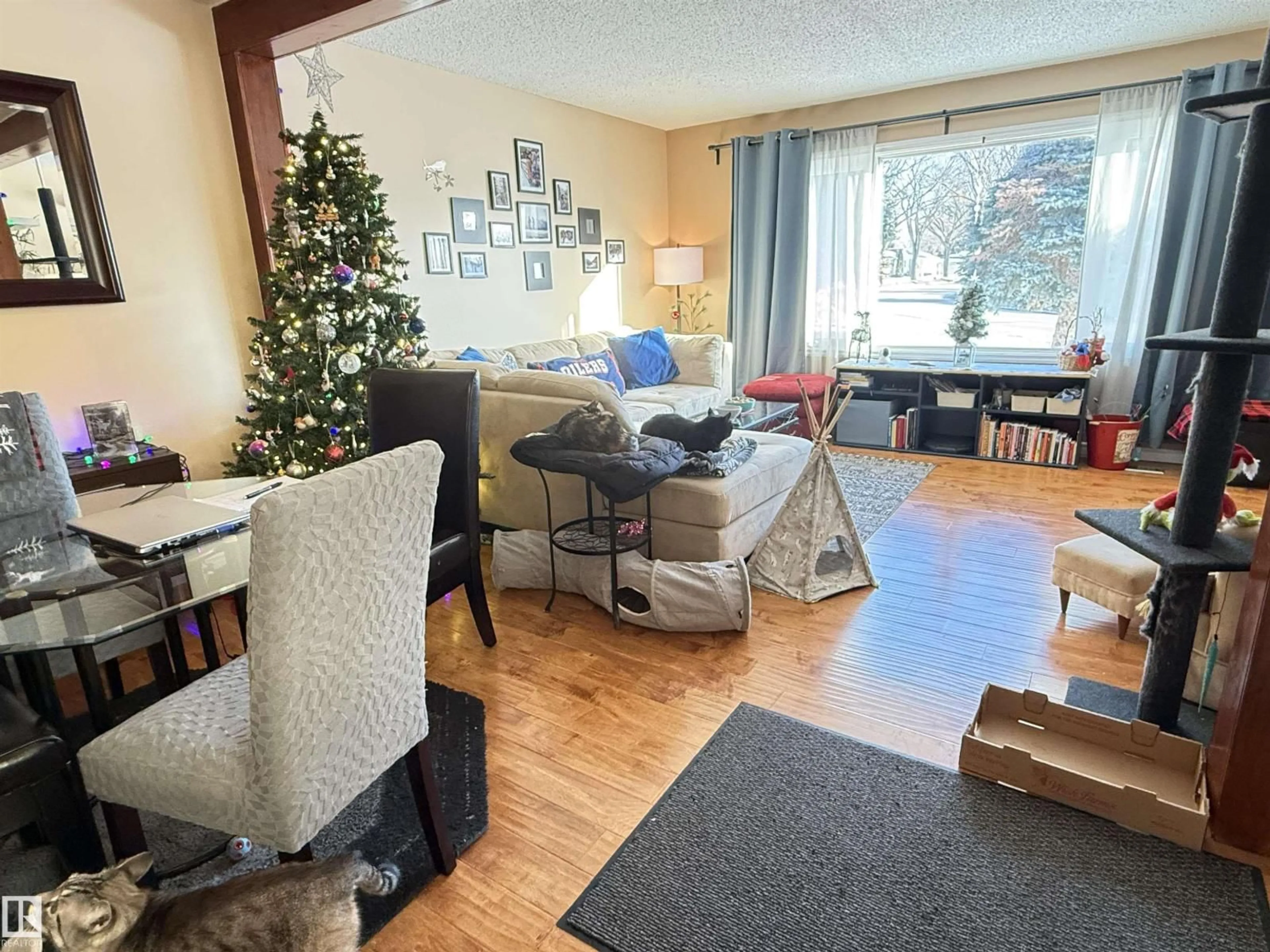 Living room with furniture, wood/laminate floor for 8606 - 8604 66 AV, Edmonton Alberta T6E0L3